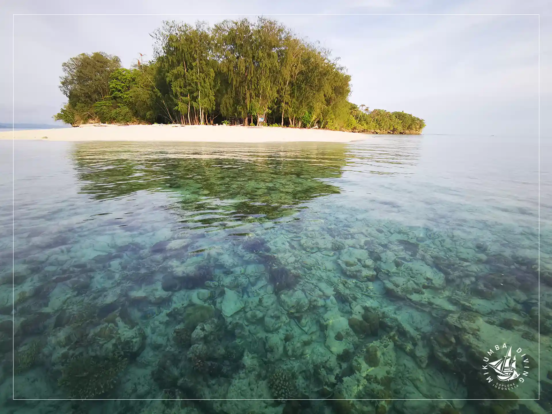 Foto de la actividad