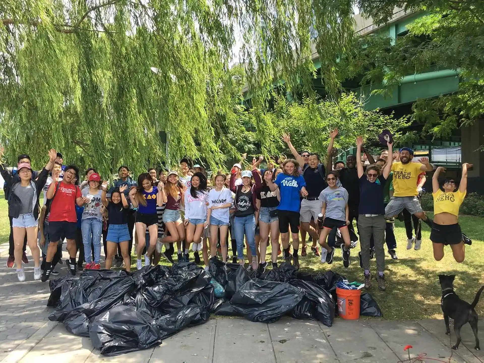 Photo de l'activité