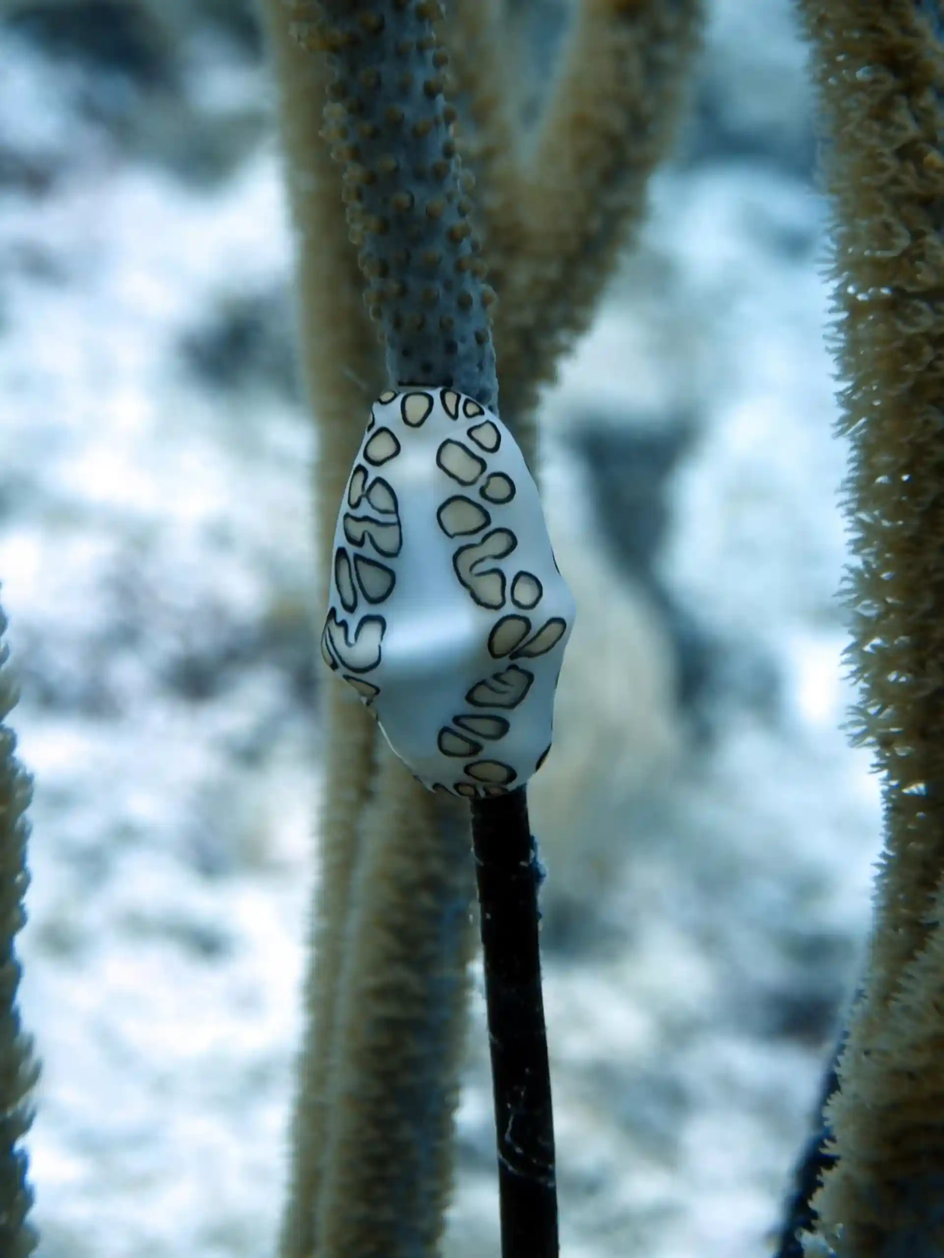 다이빙 포인트 사진