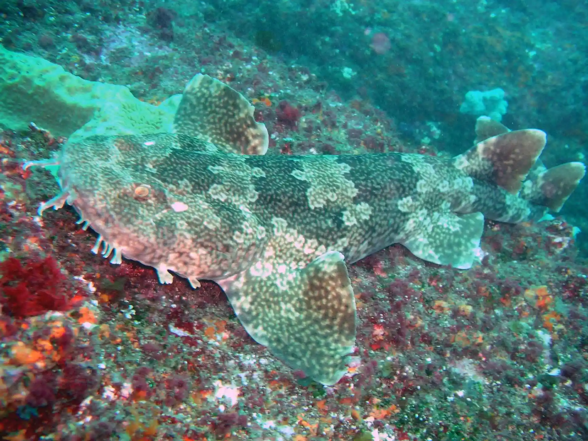 Dive site photo