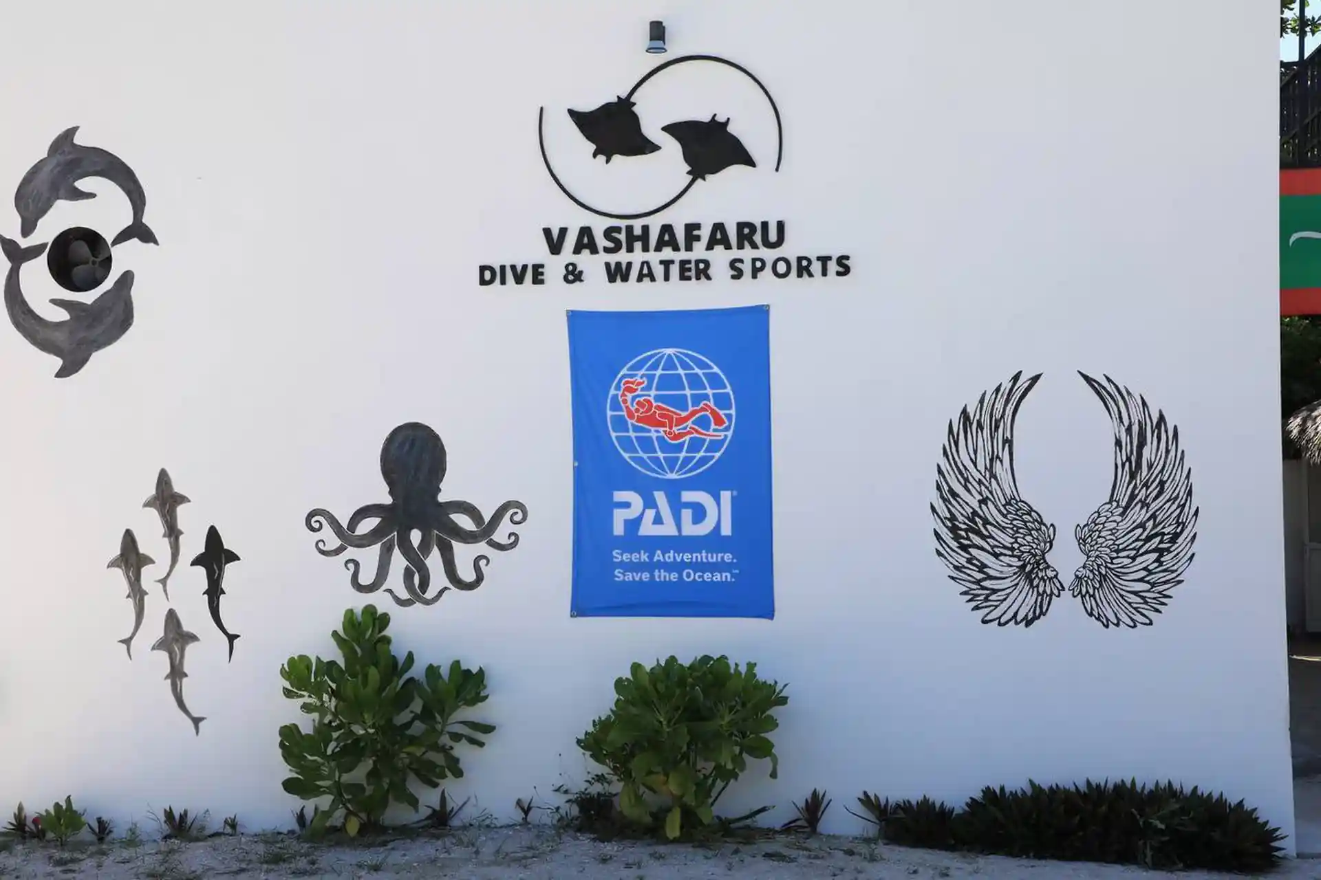 Dive shop photo