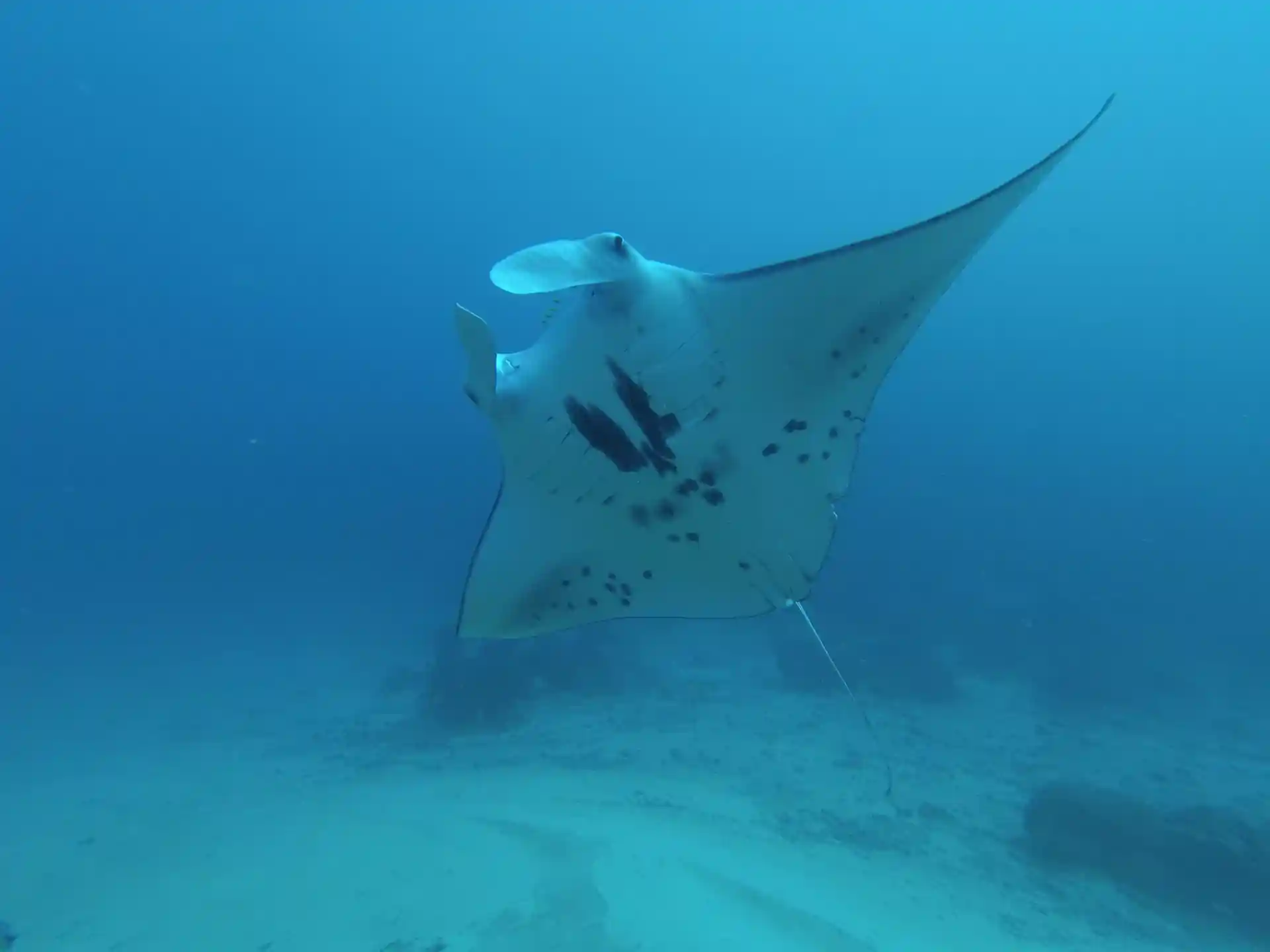 ダイビングサイトの写真