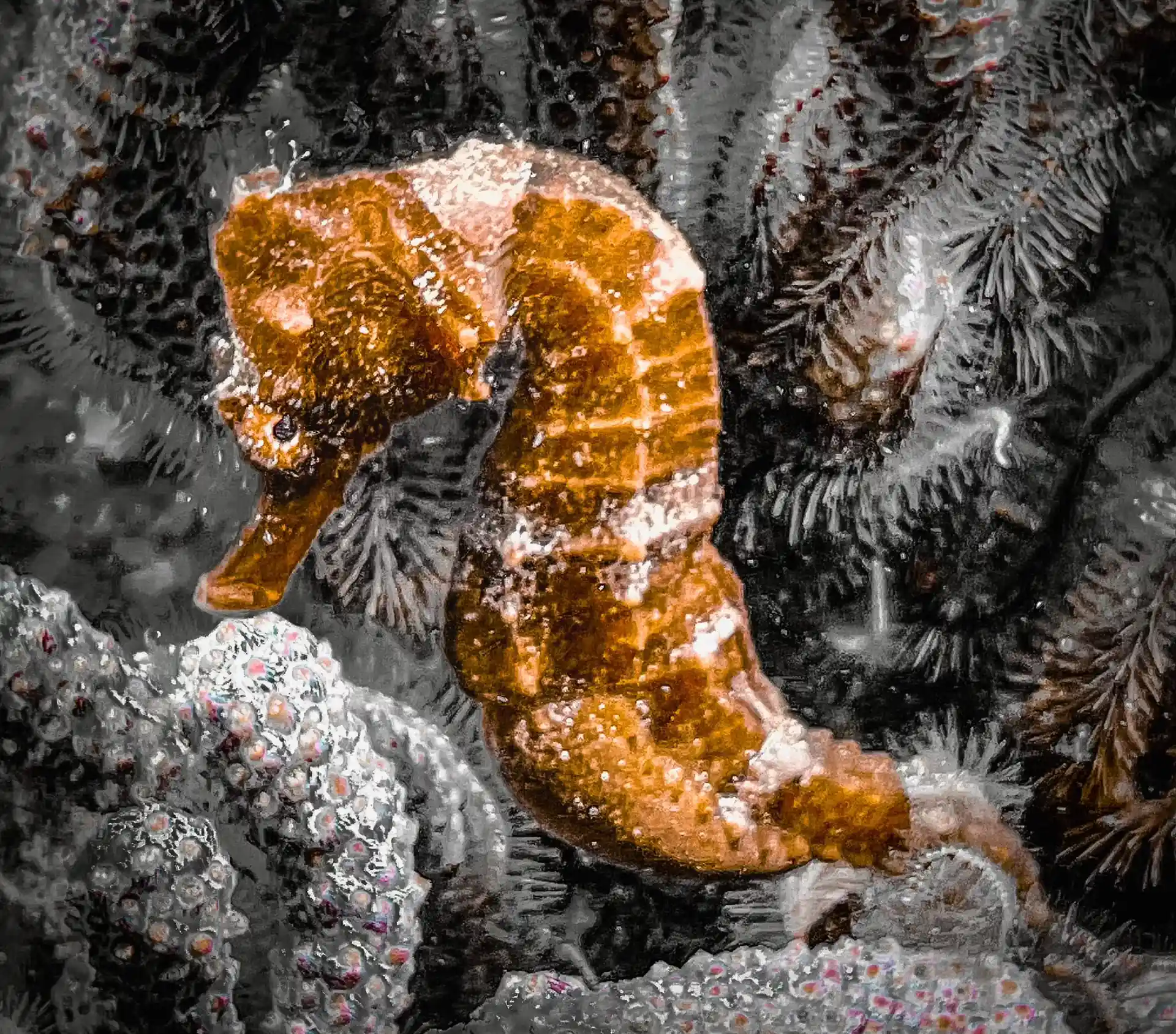 Foto de la actividad