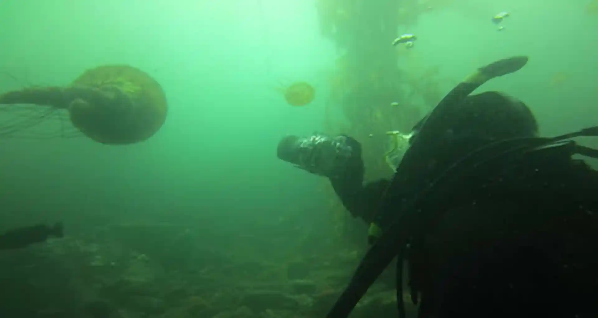 Dive site photo