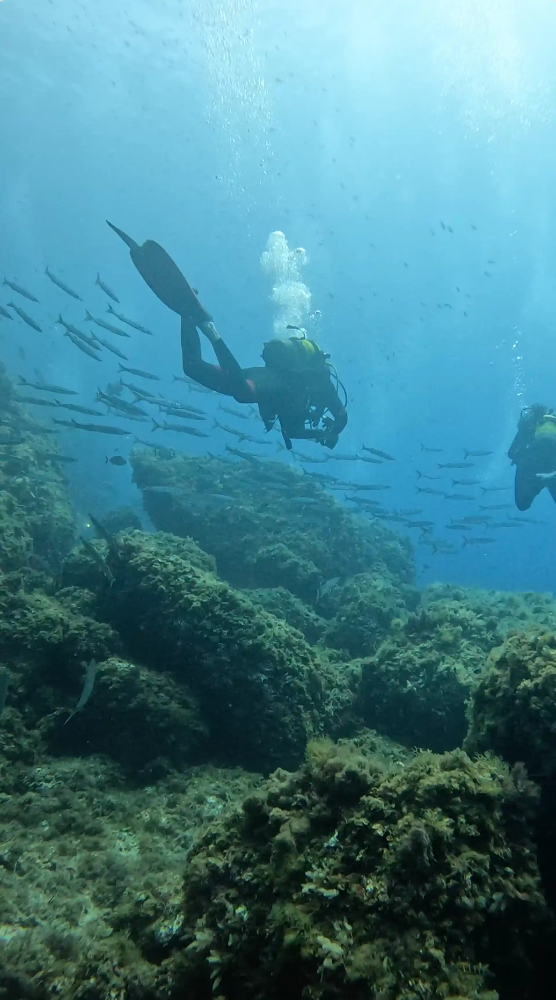 Dive site photo