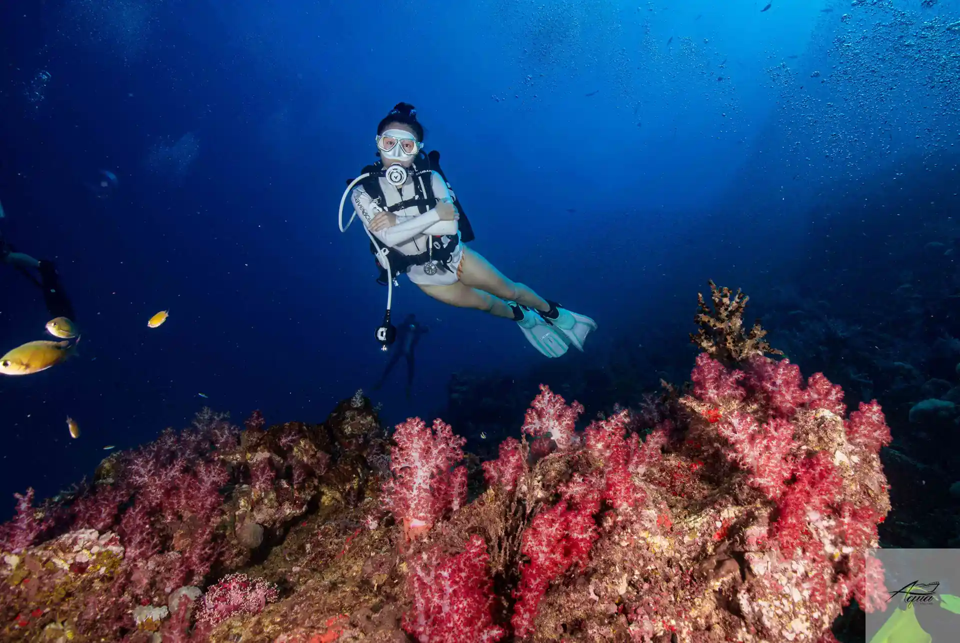 Dive shop photo