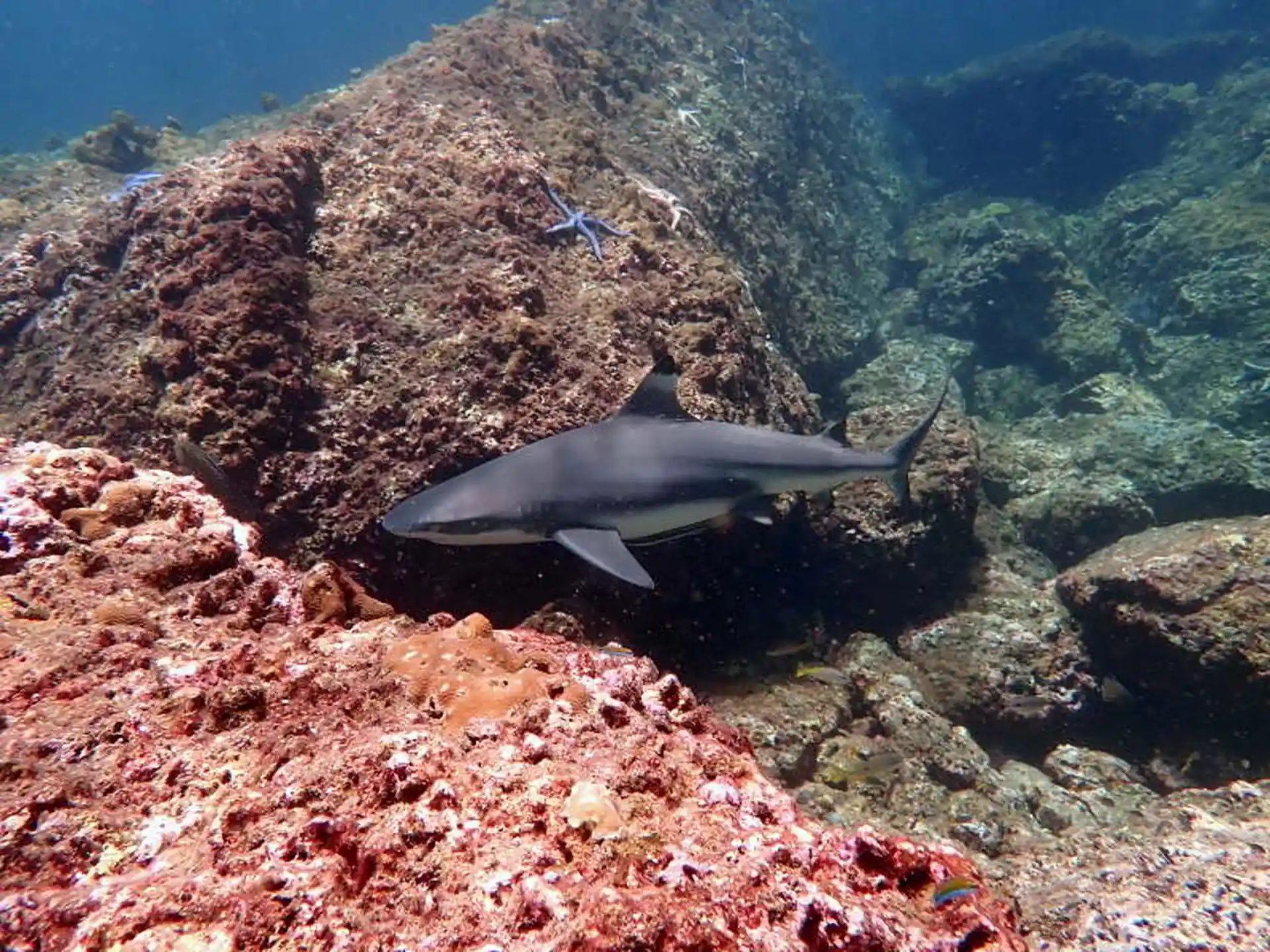 Dive site photo
