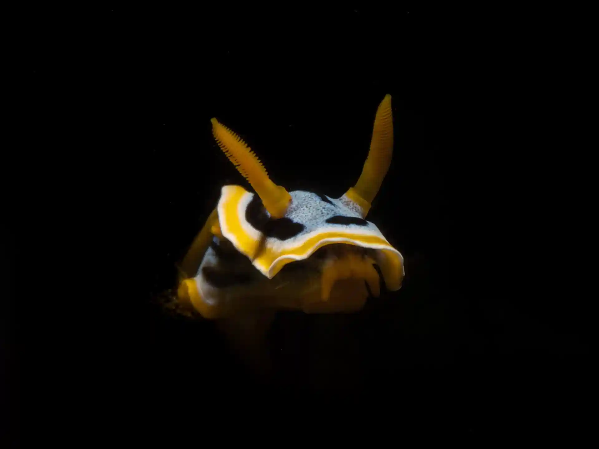 Foto des Tauchplatzes