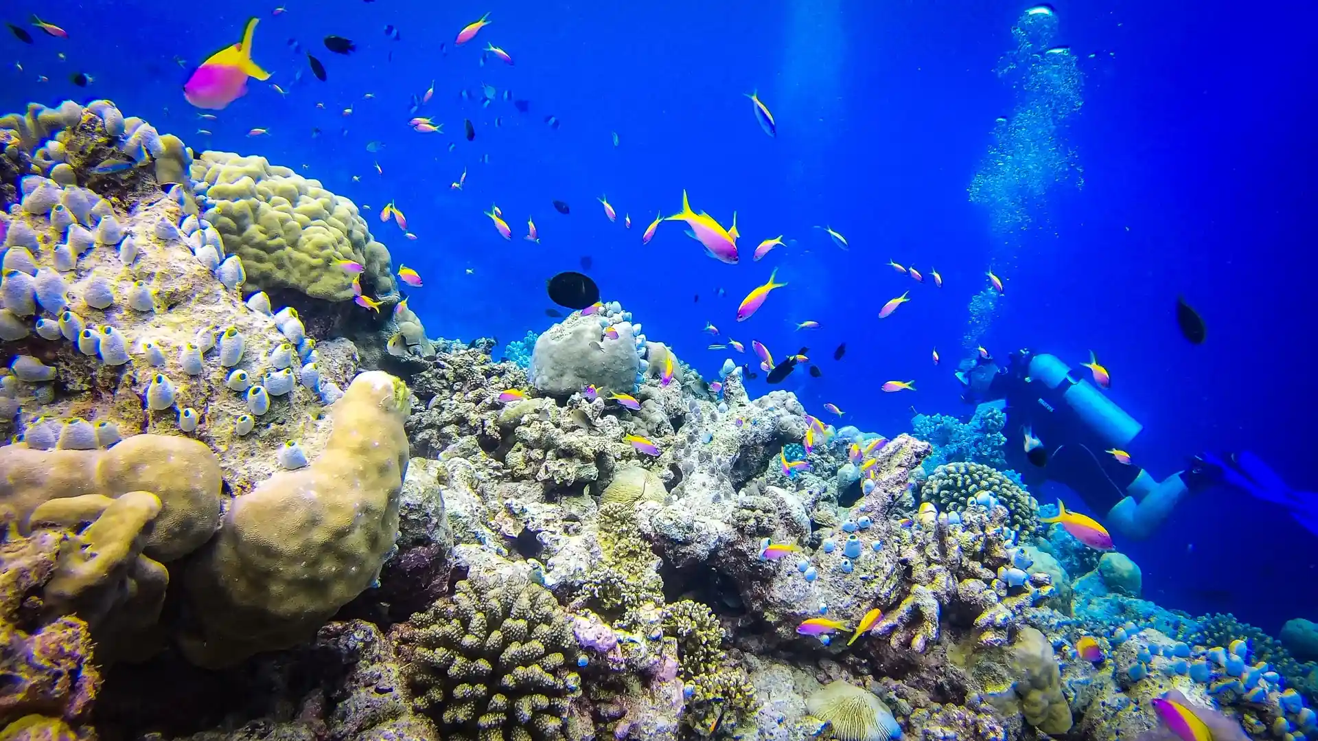 Photo de l'activité