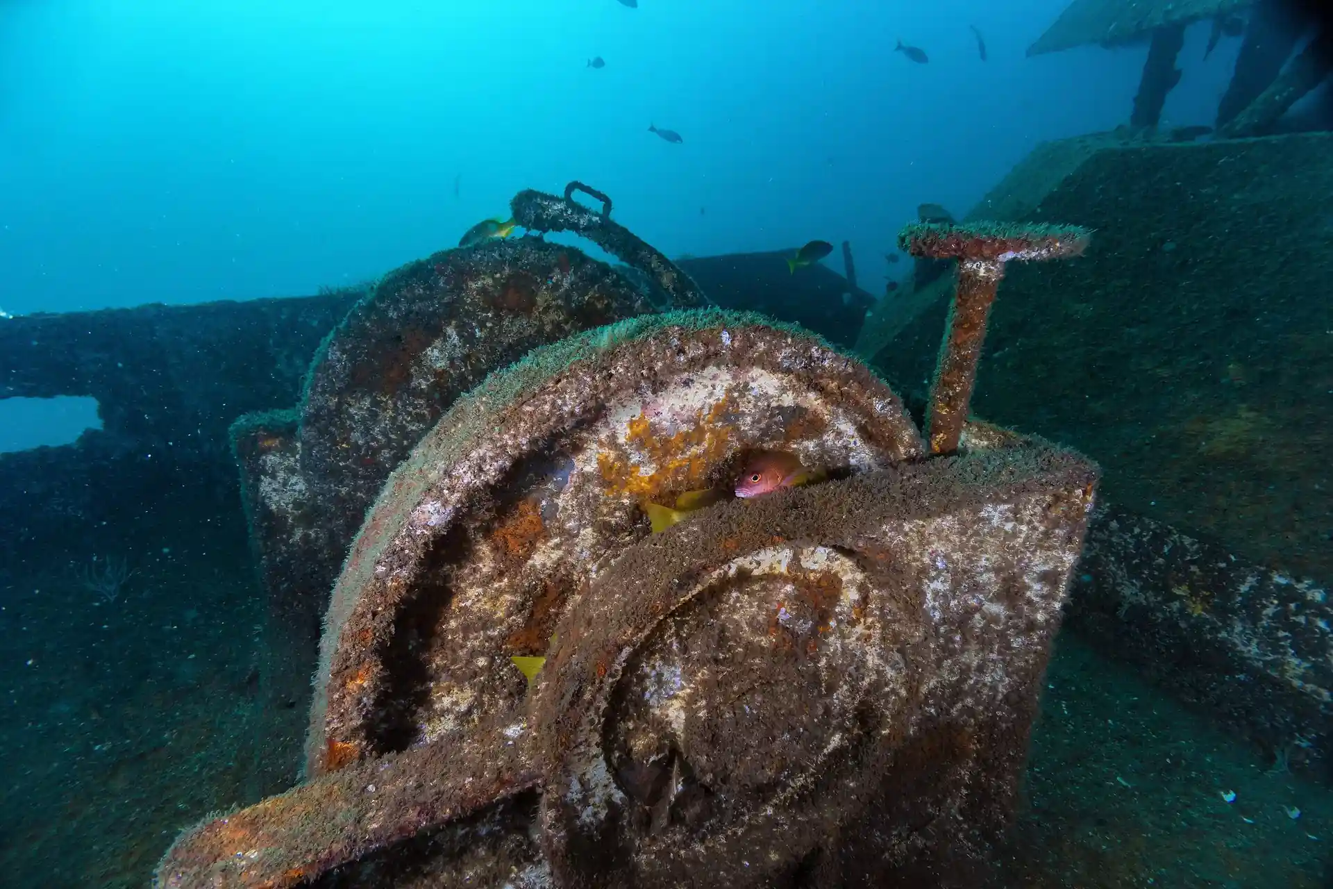 Dive site photo