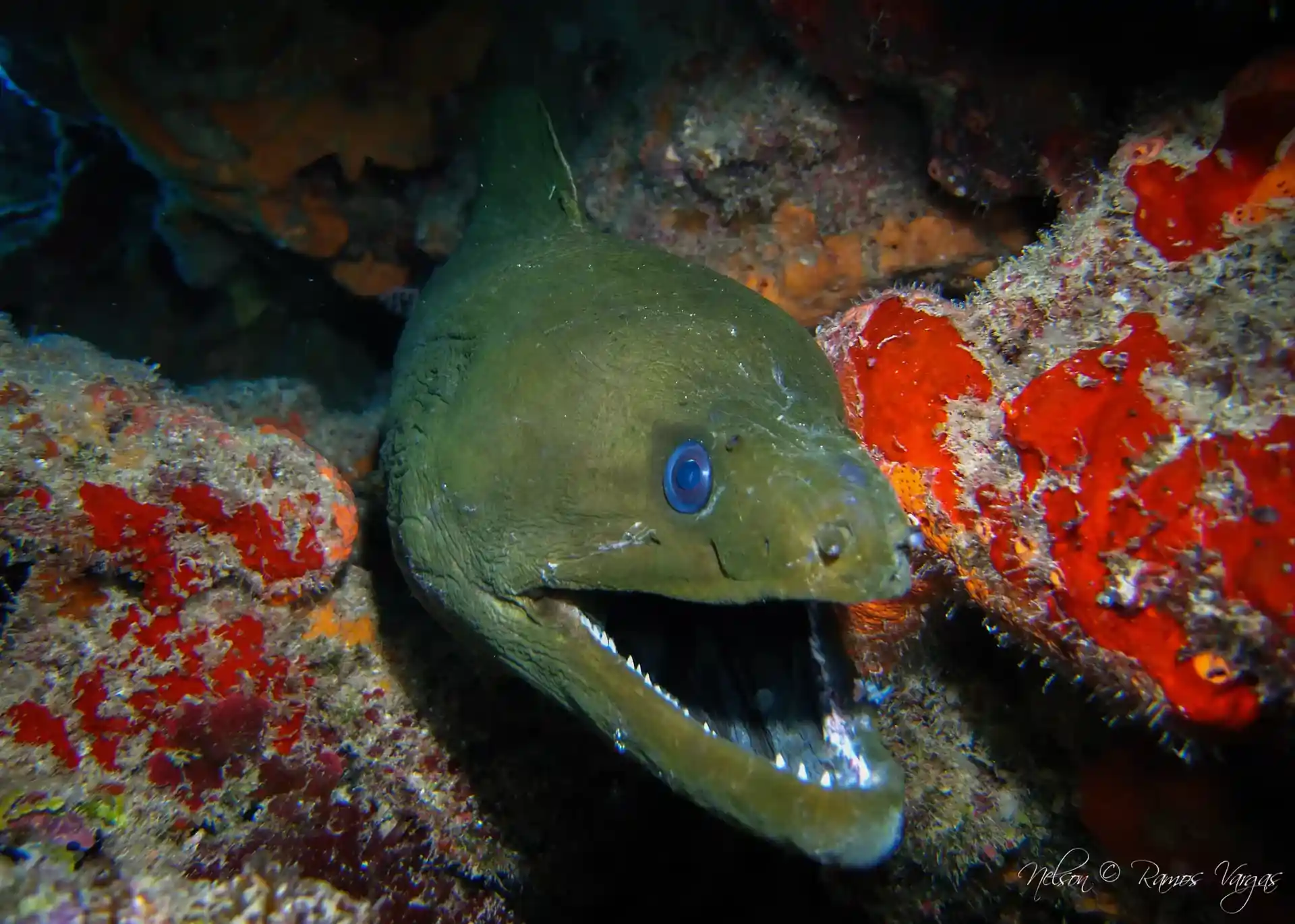 Foto des Tauchplatzes