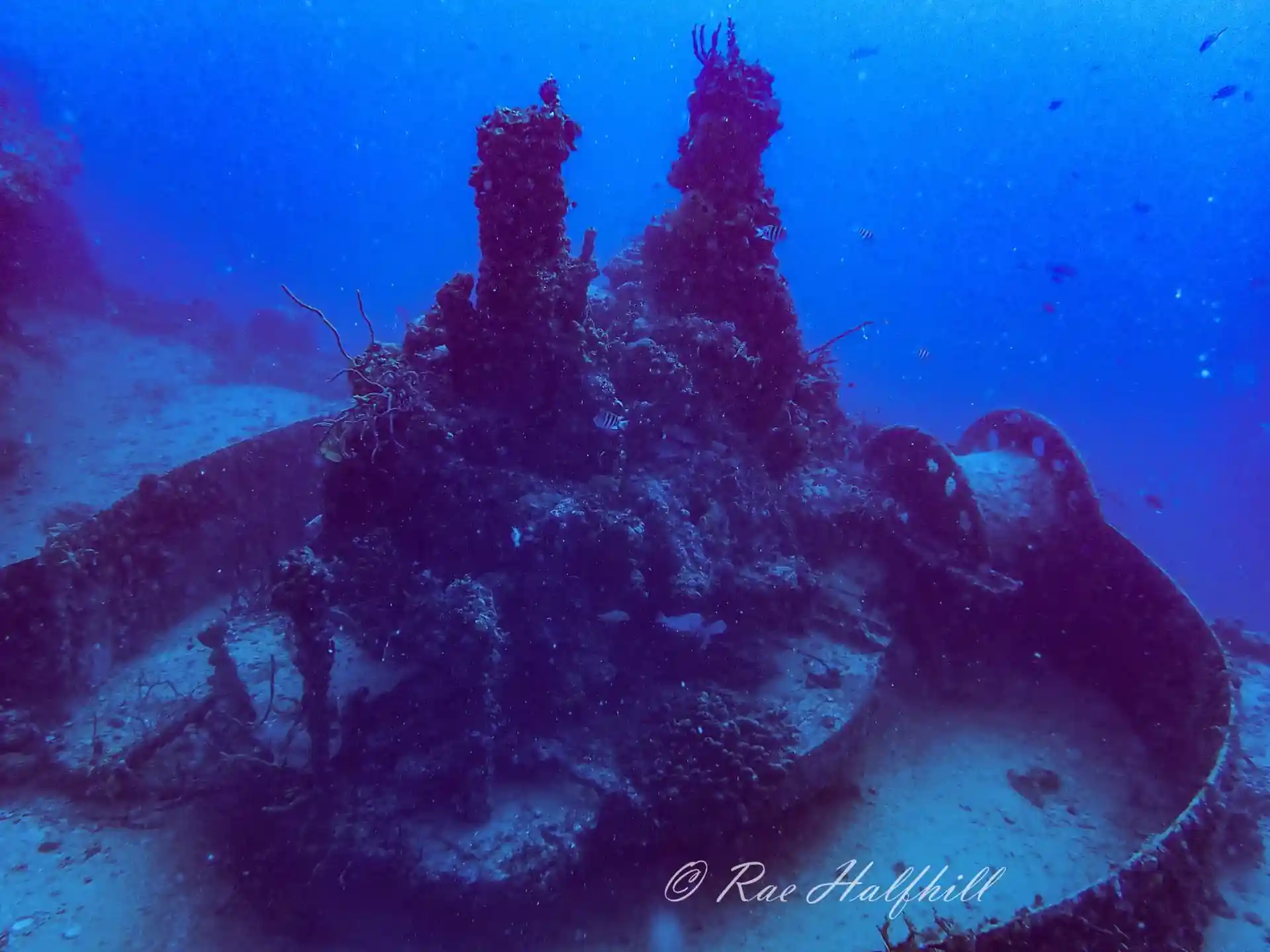 Dive shop photo