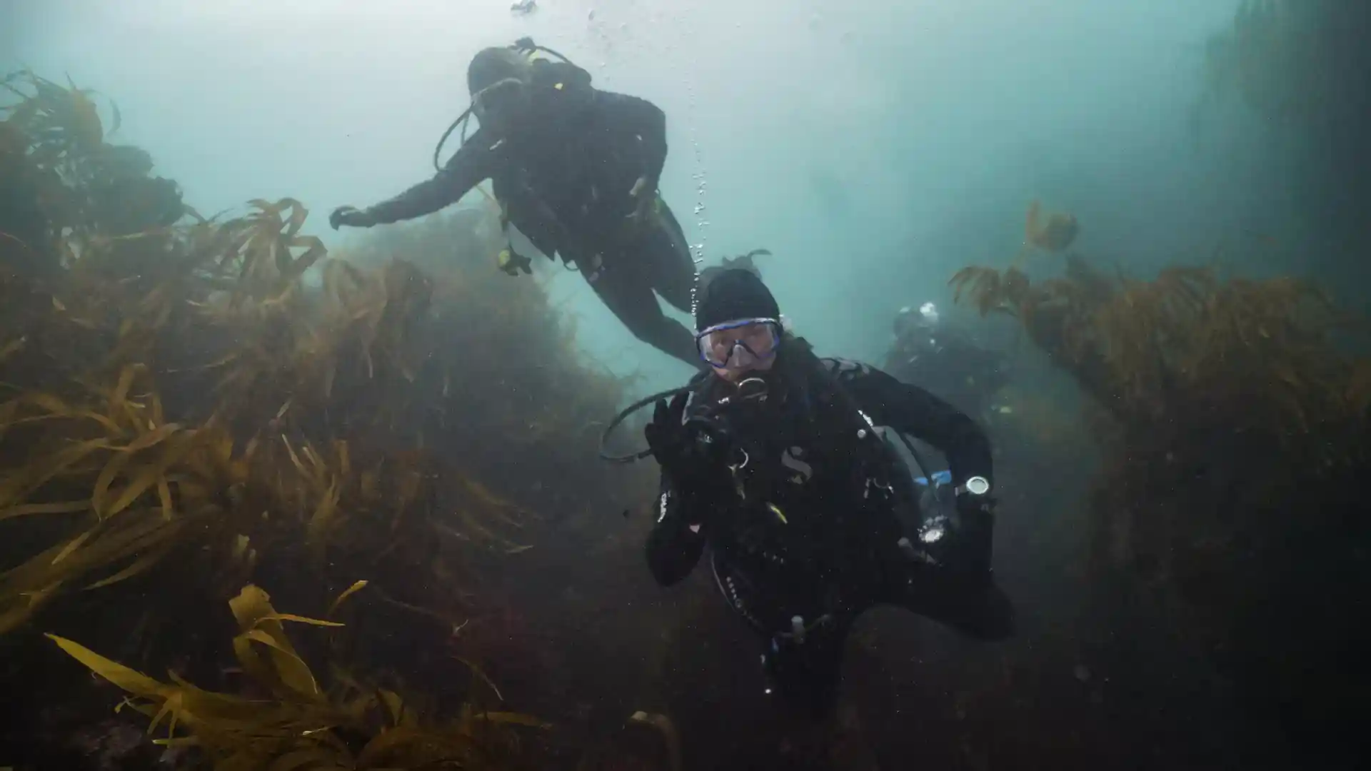 Dive site photo