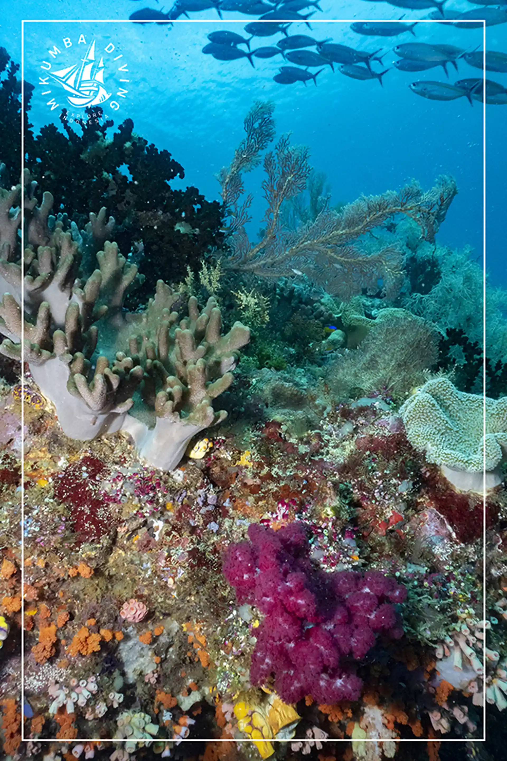 Foto de la actividad