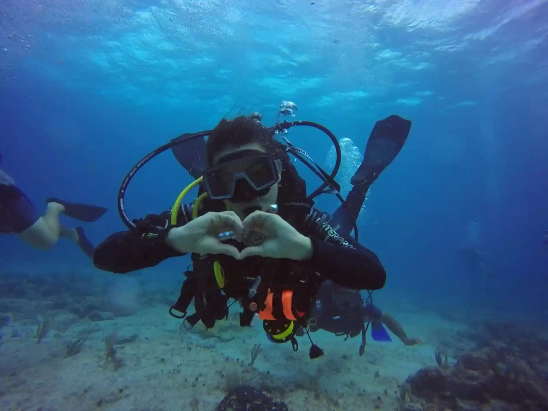 Photo de l'activité