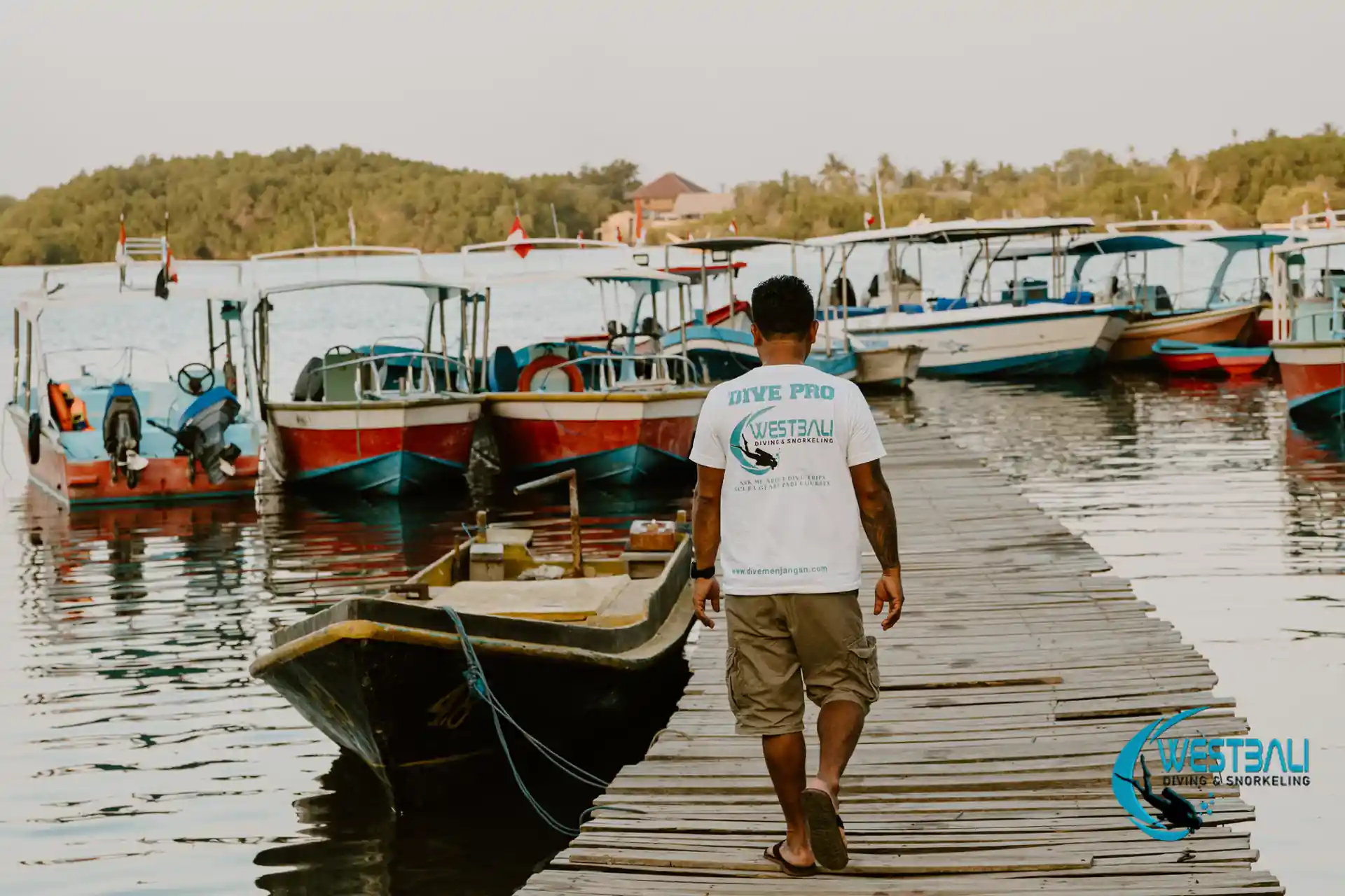 Dive boats at the harbour next to the dive center.