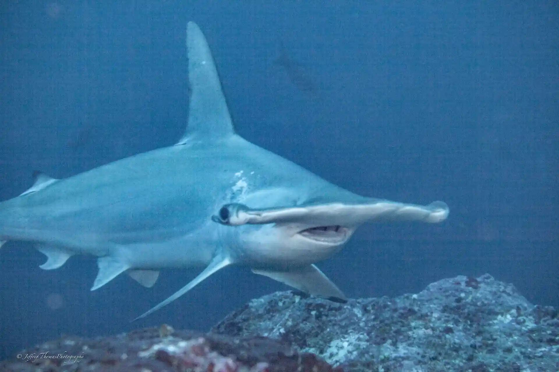 Dive site photo