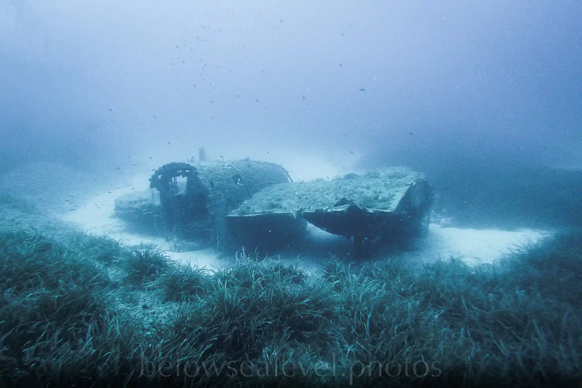 Dive site photo