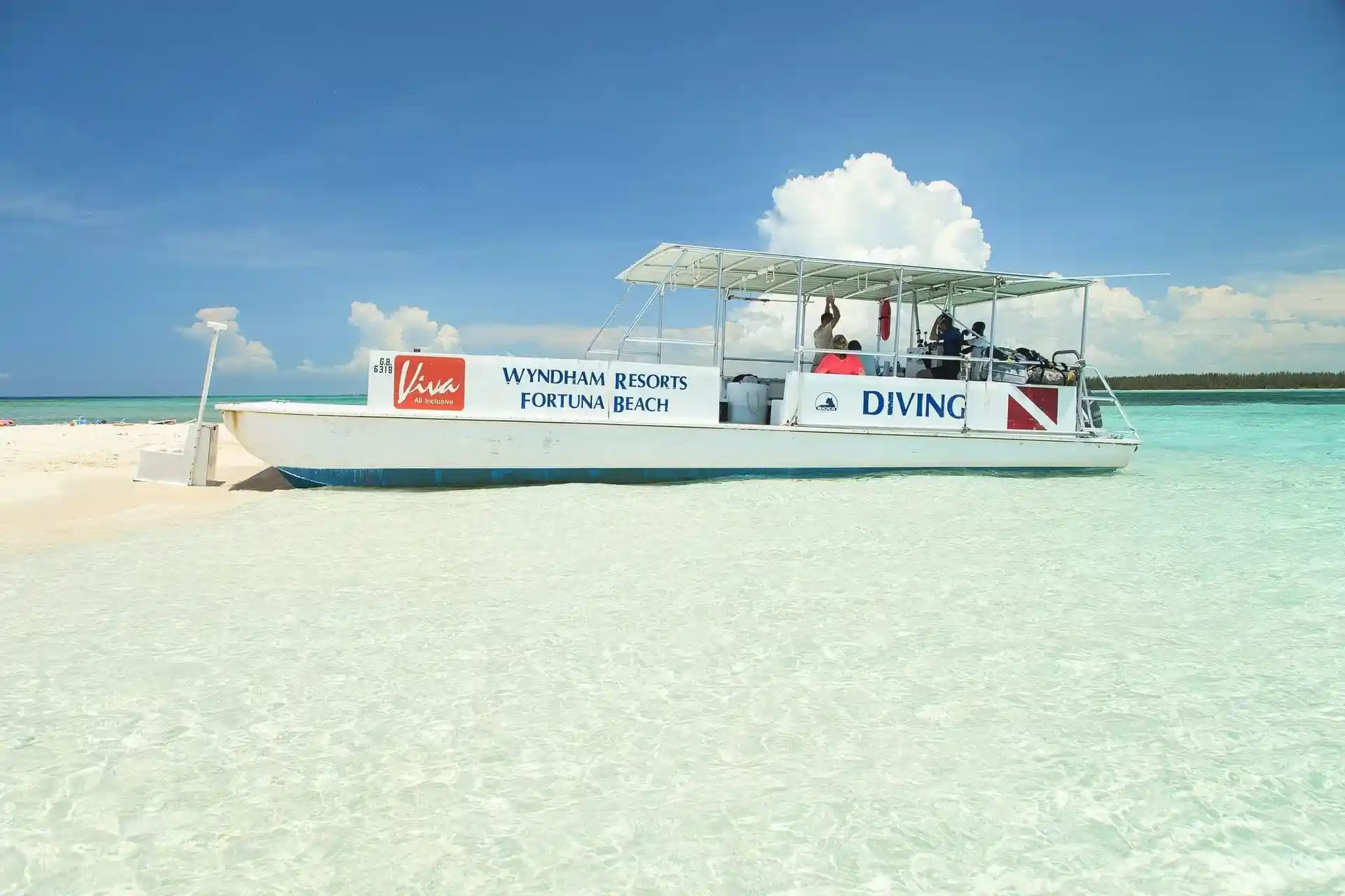 Photo de l'activité