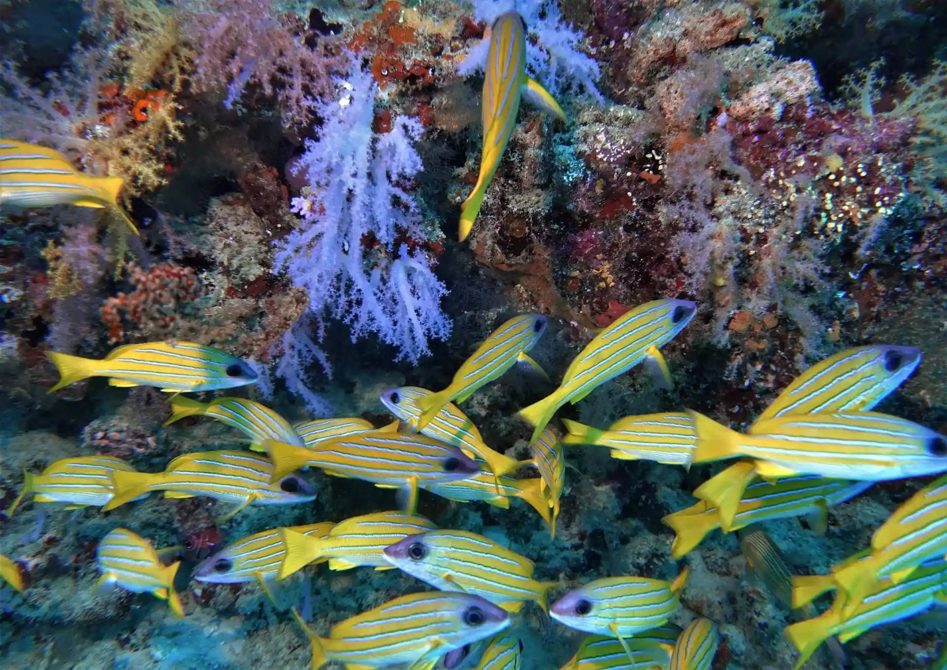 Foto des Tauchplatzes