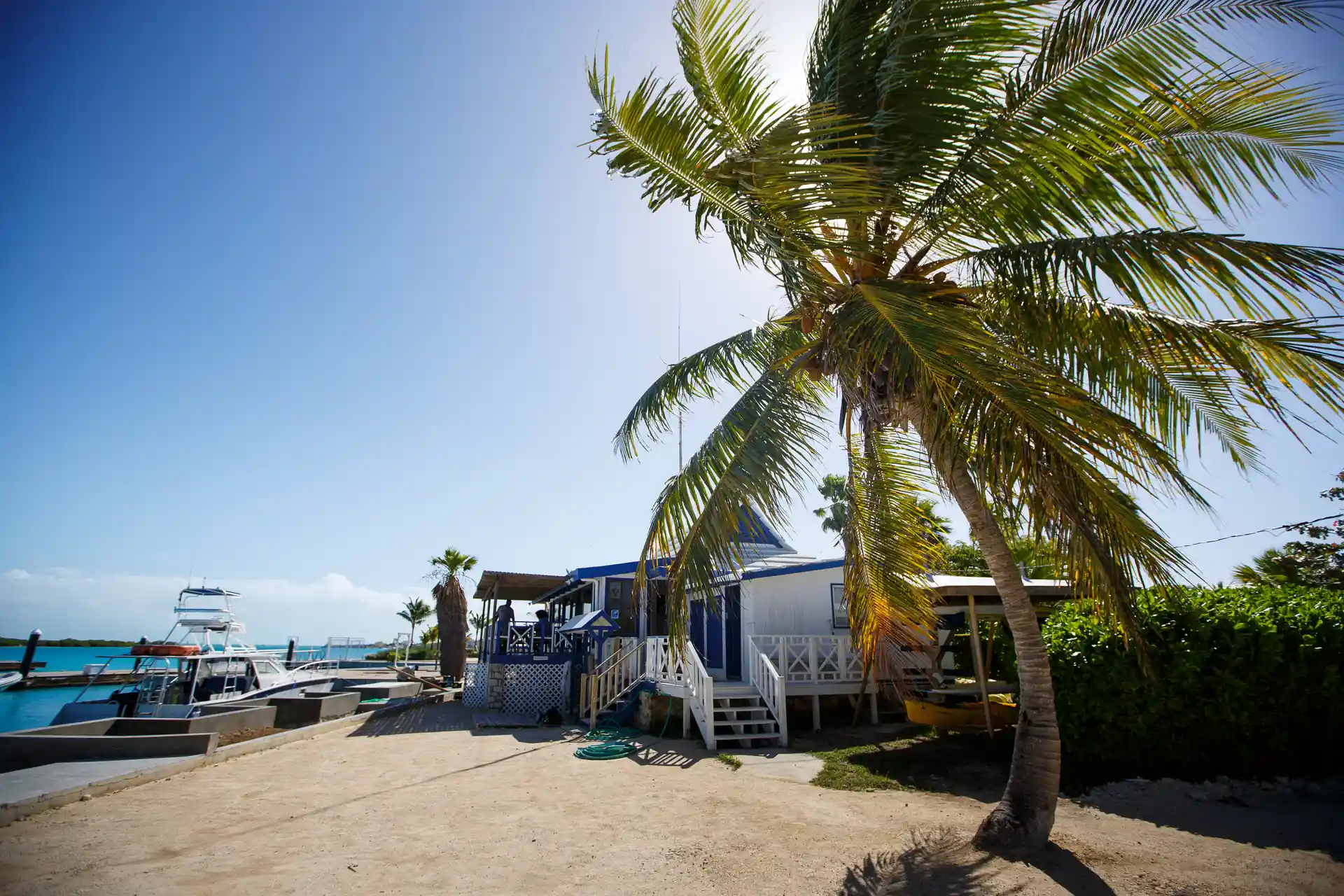 Main photo