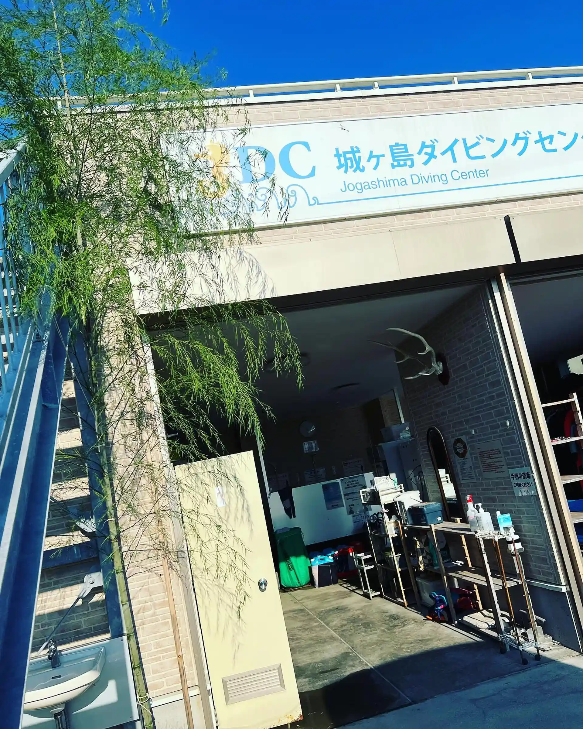 主要照片