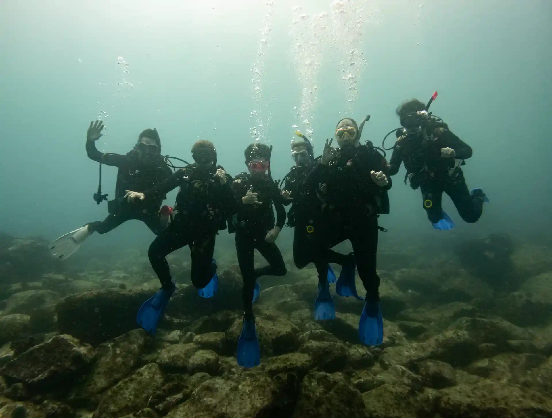 A great opportunity to dive with friends!