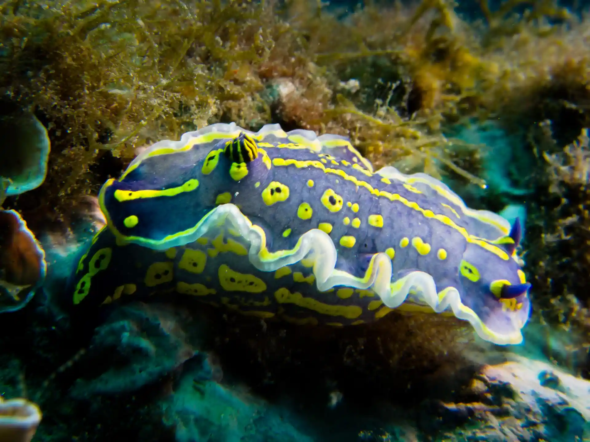 Dive shop photo