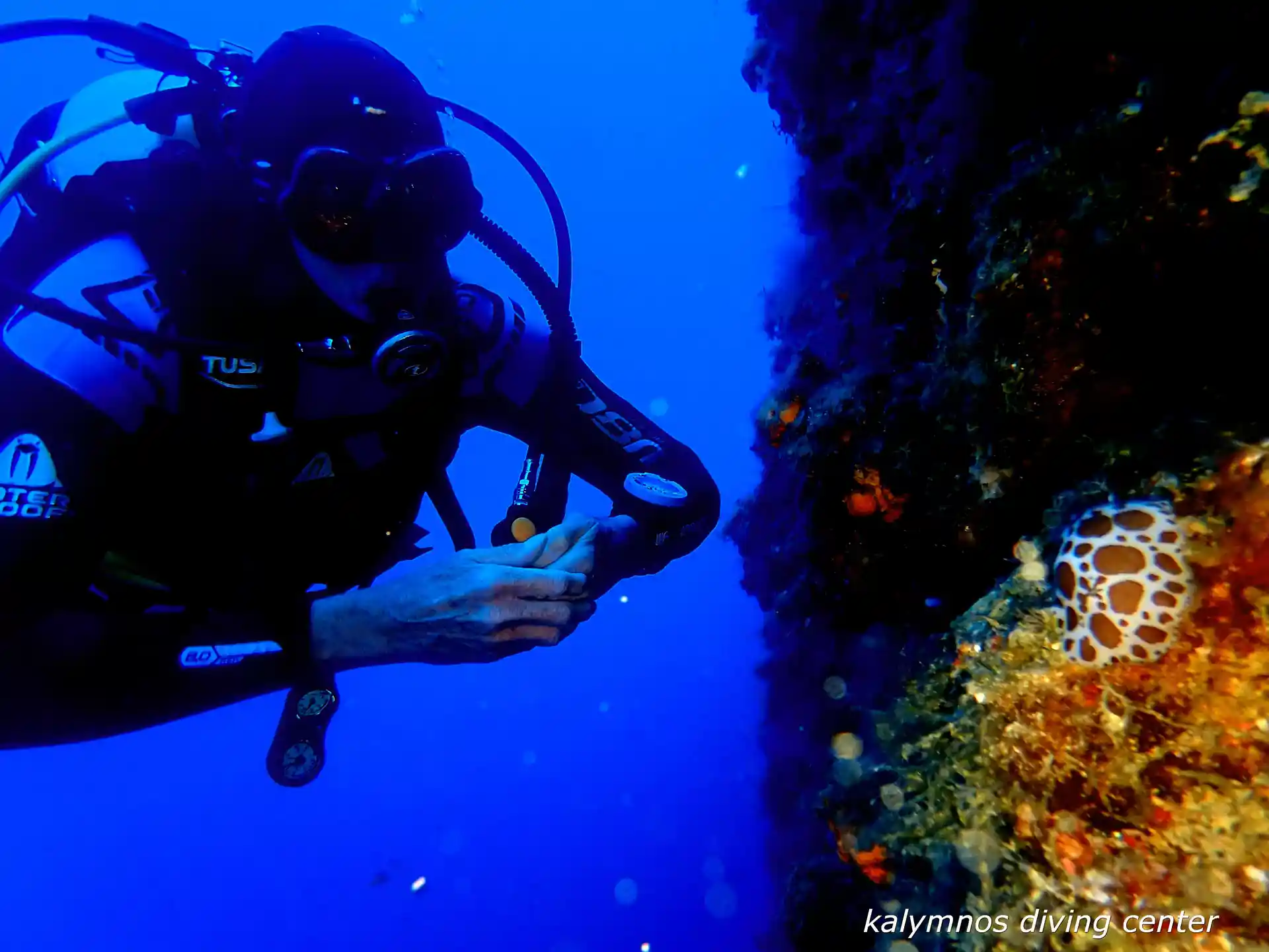 Dive shop photo