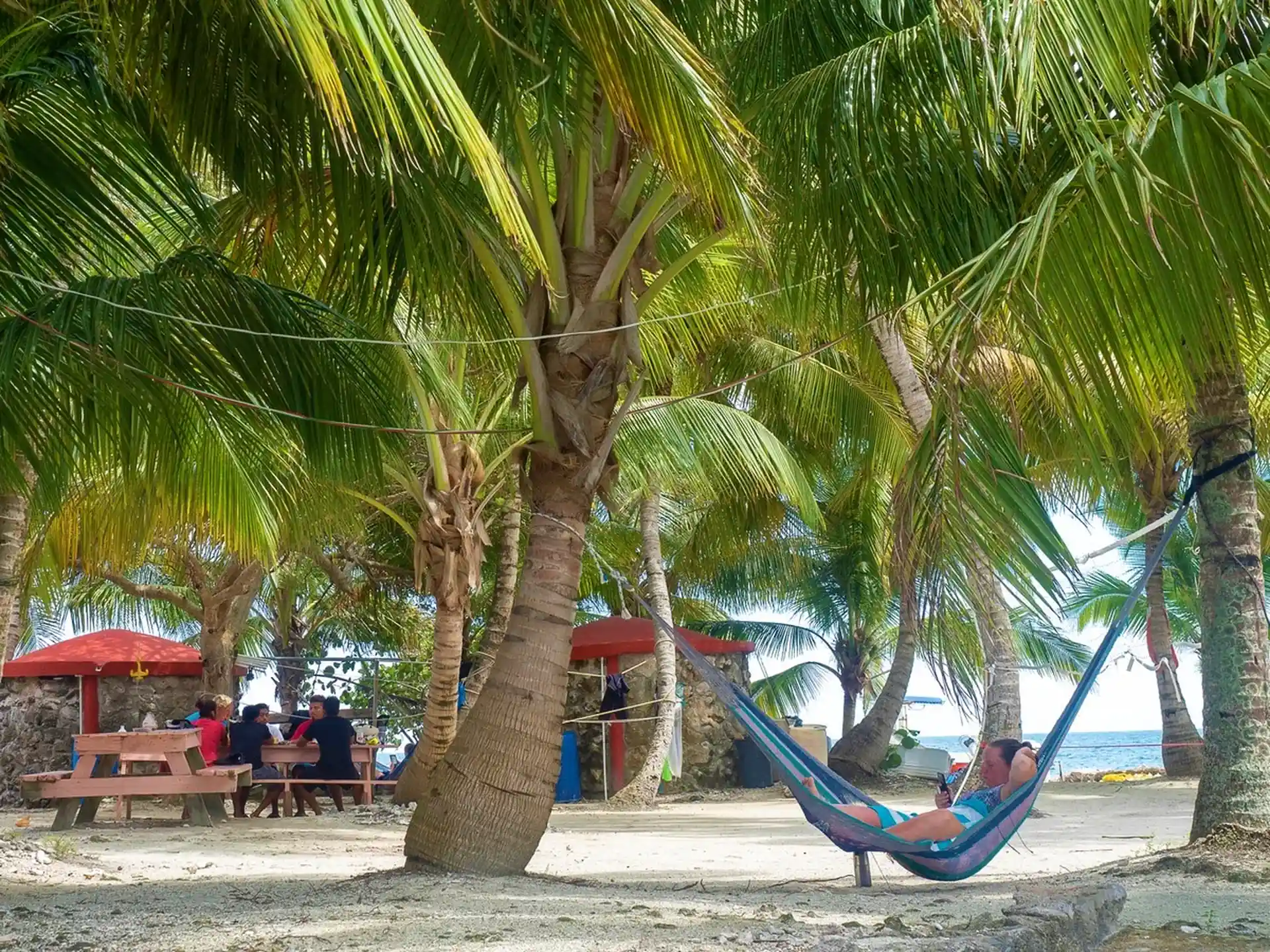 Dive shop photo