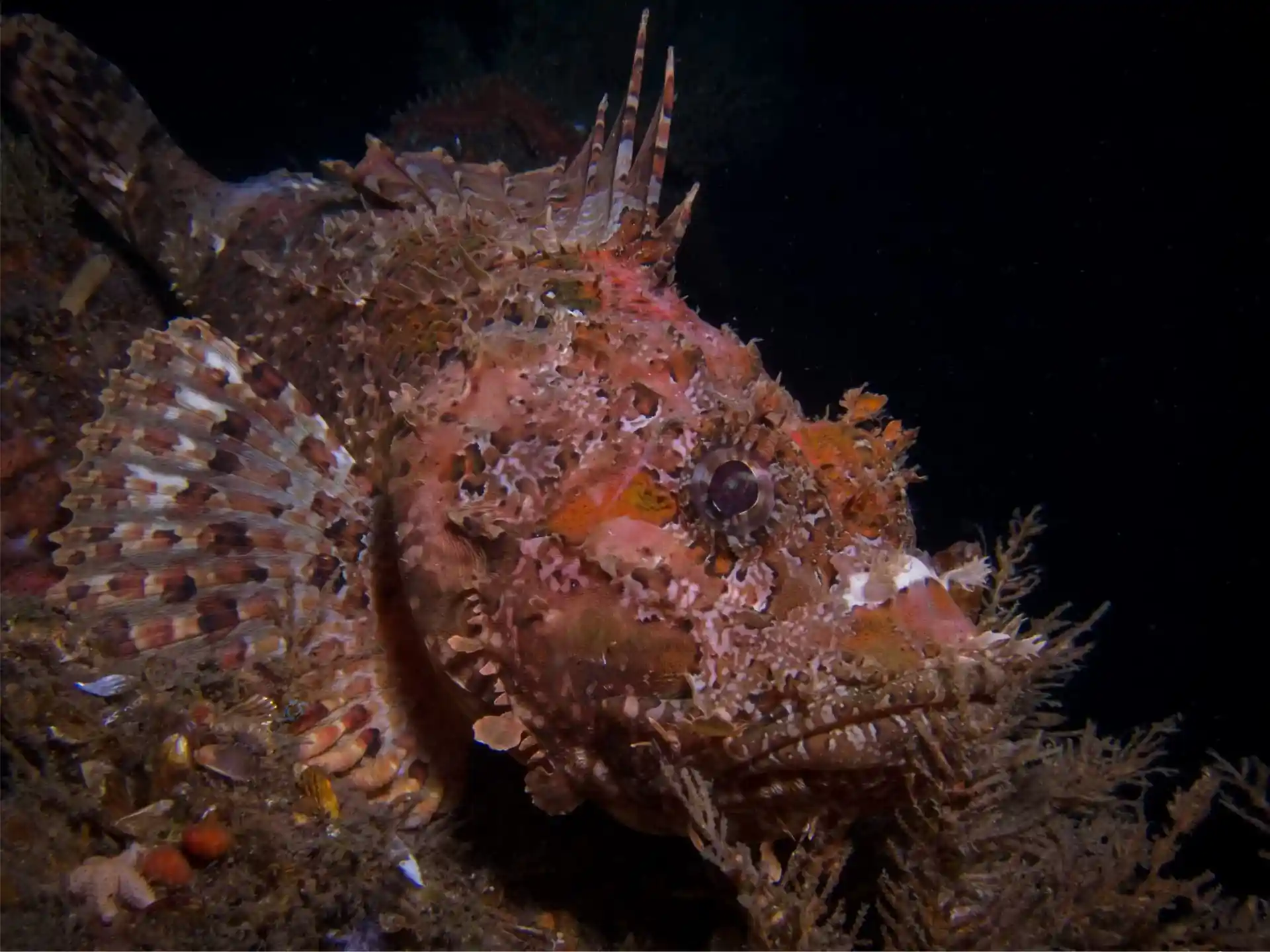 Foto van de duiklocatie