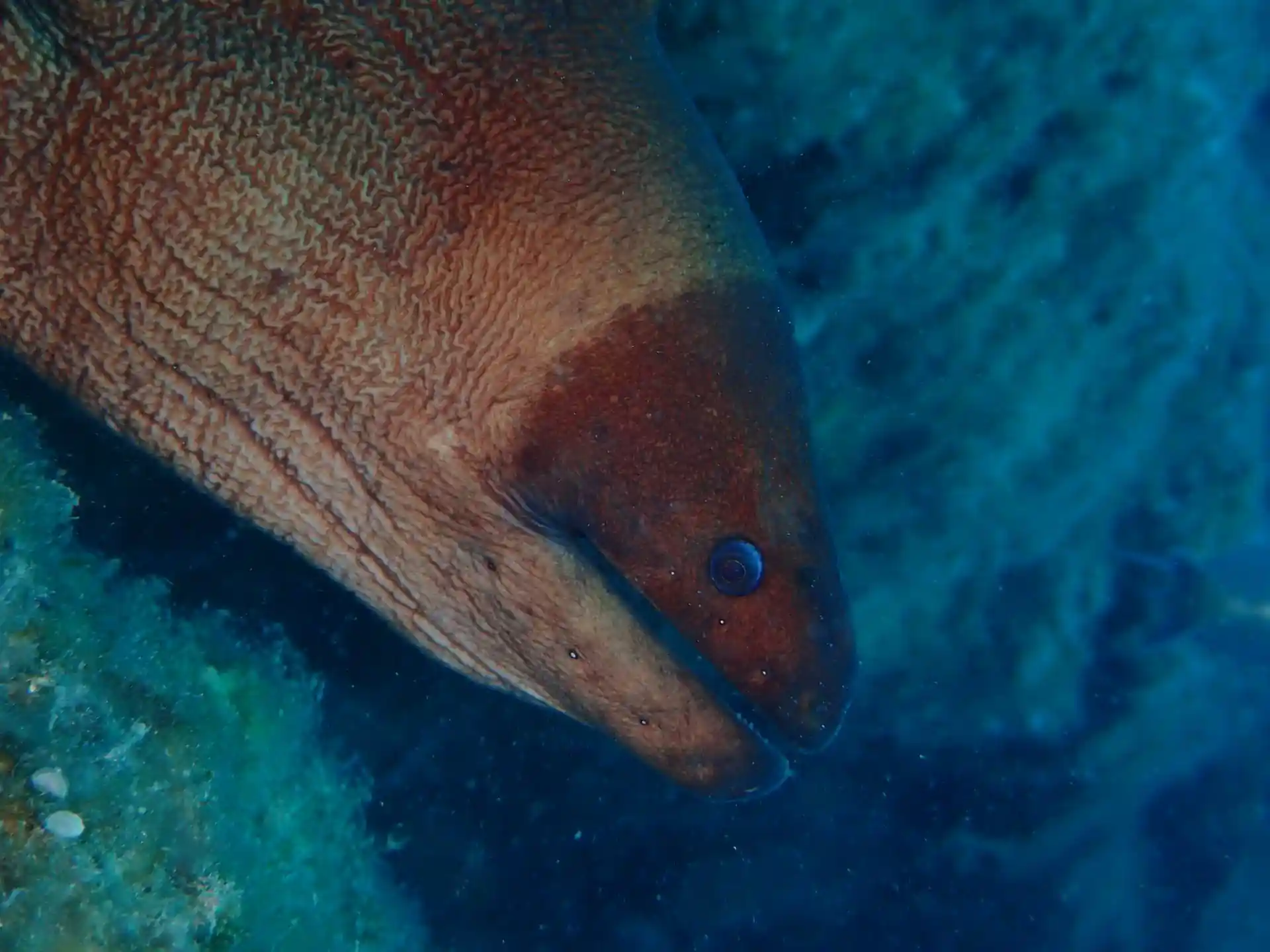 Dive site photo