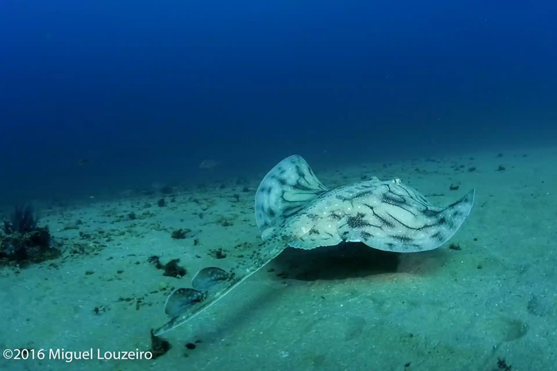 Dive shop photo