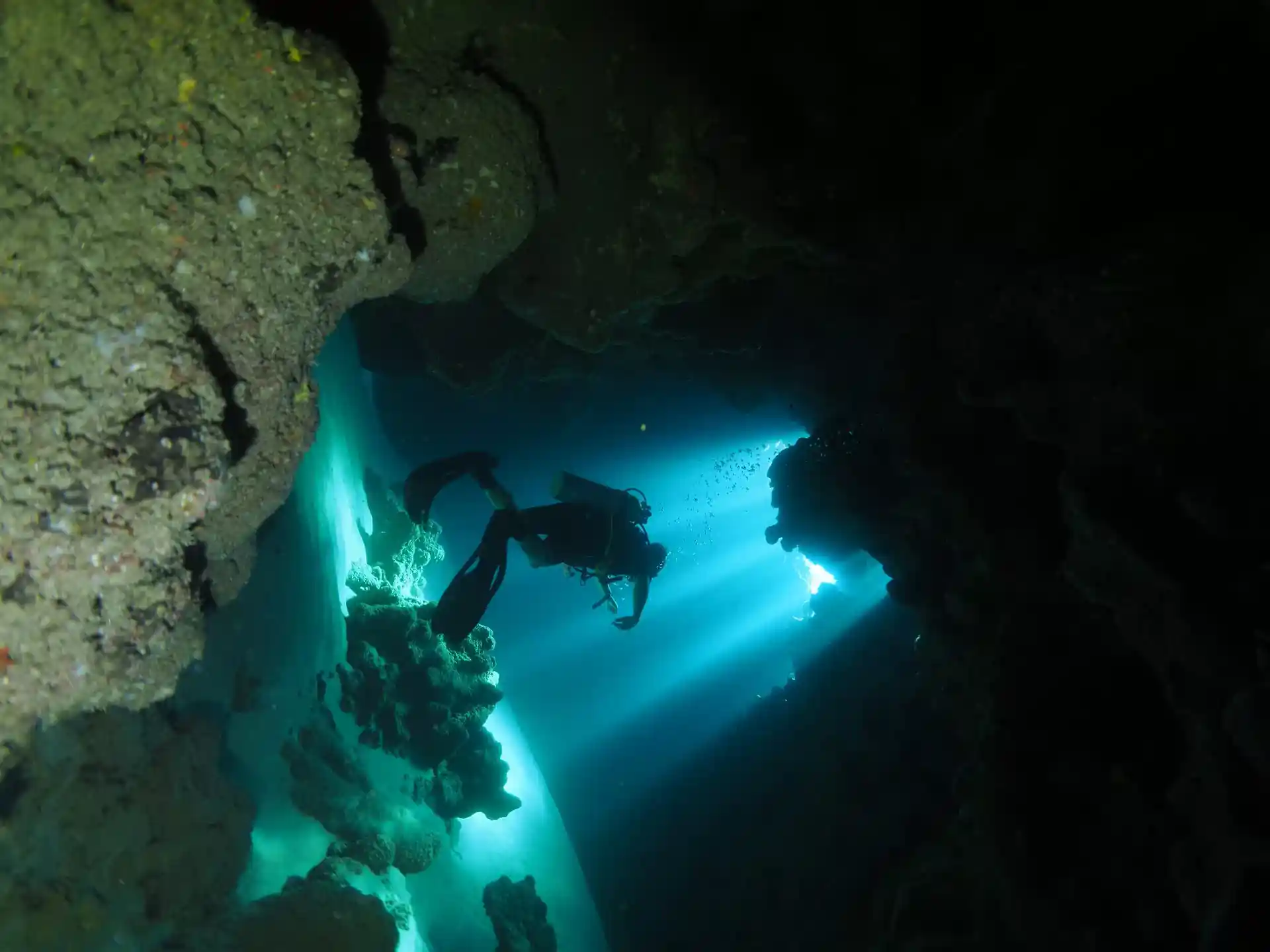 Dive site photo