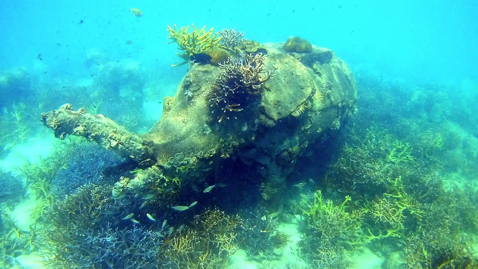 Foto del sitio de buceo