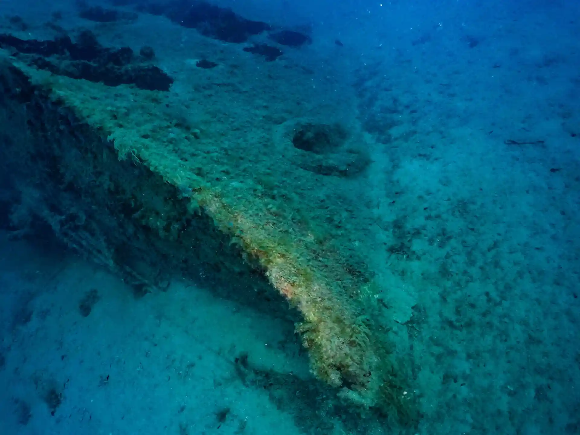 ダイビングサイトの写真