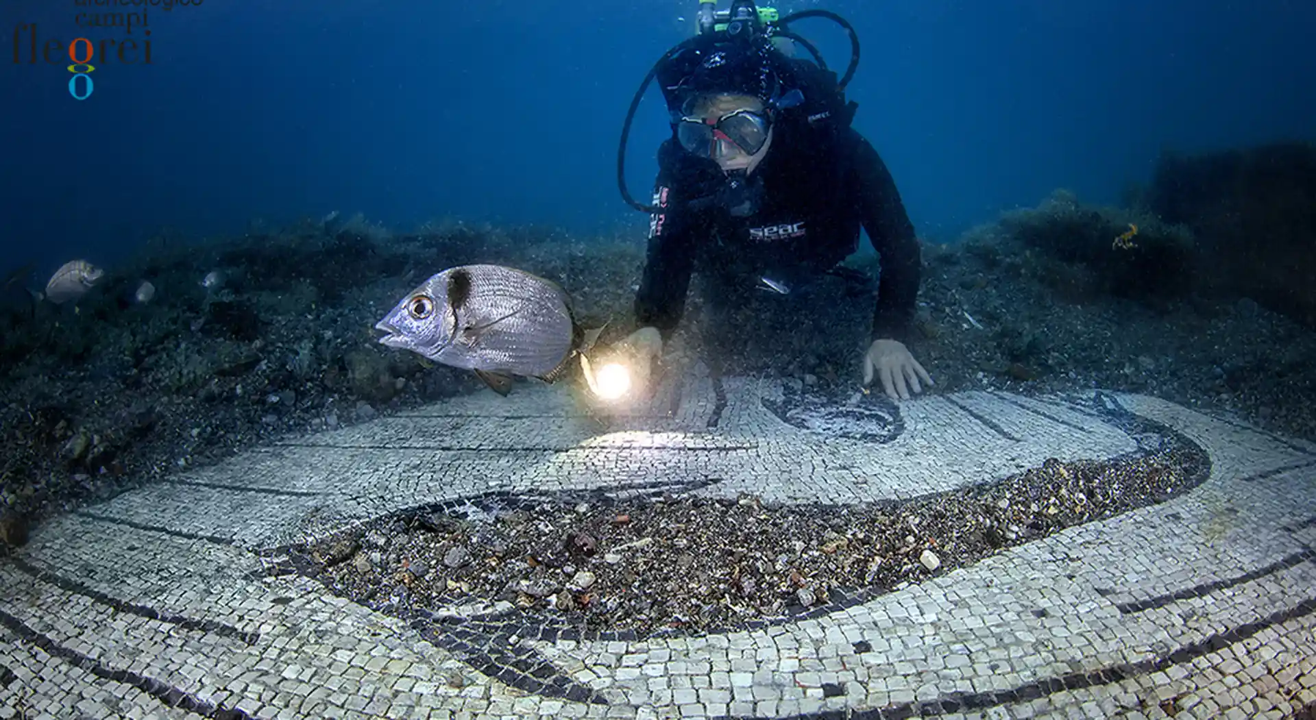 Foto de la tienda de buceo