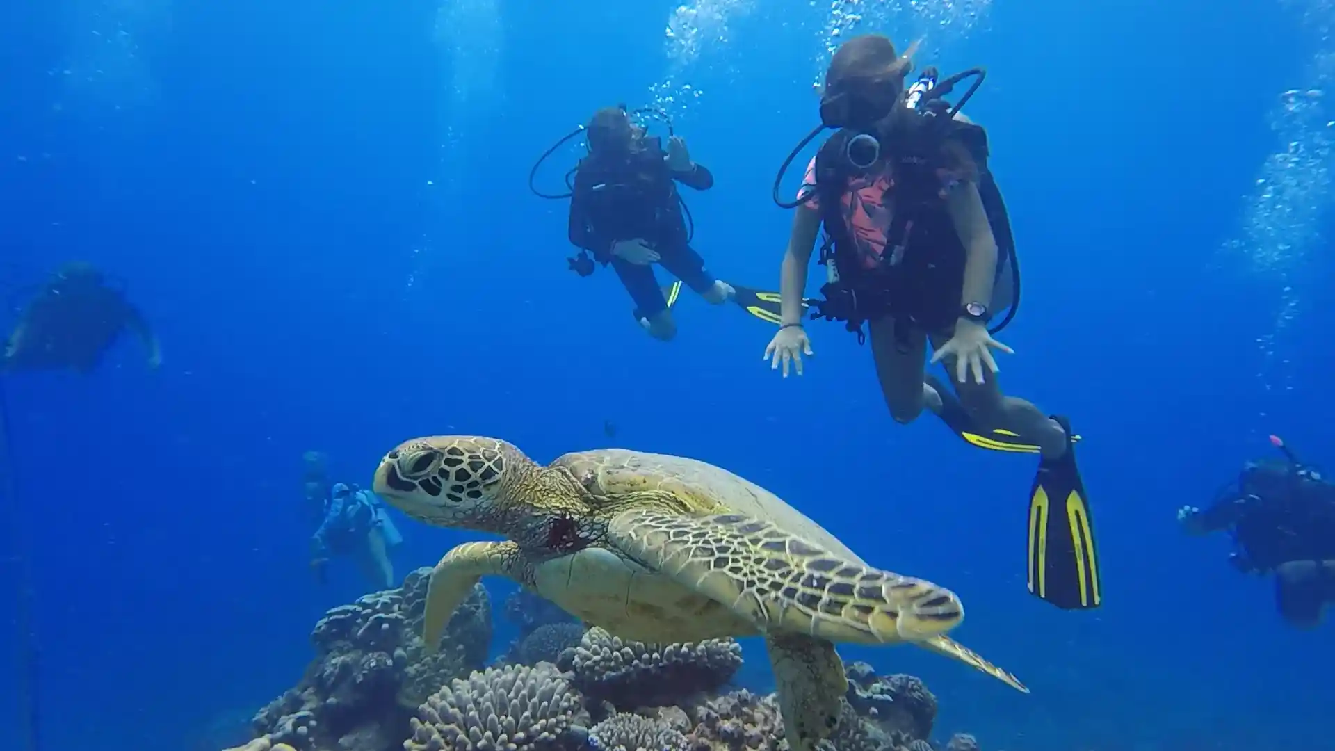Dive shop photo