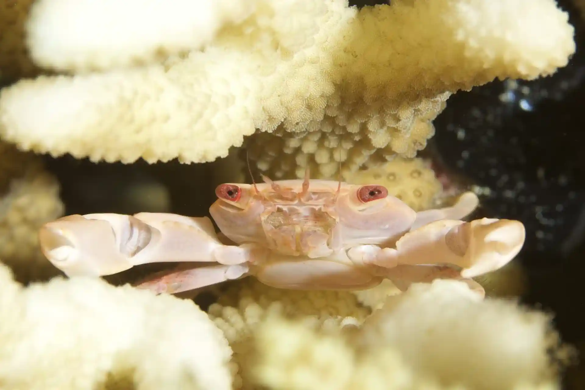 다이빙 포인트 사진