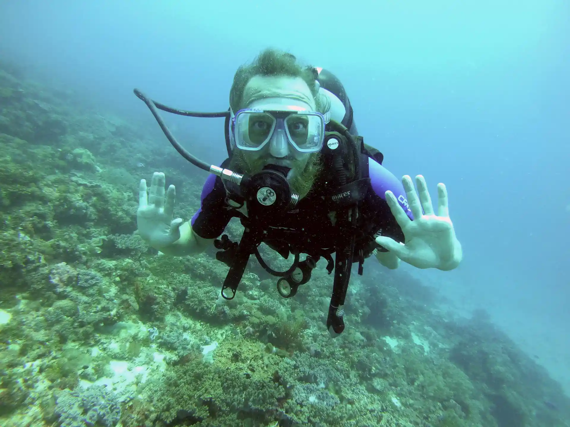 dive with us