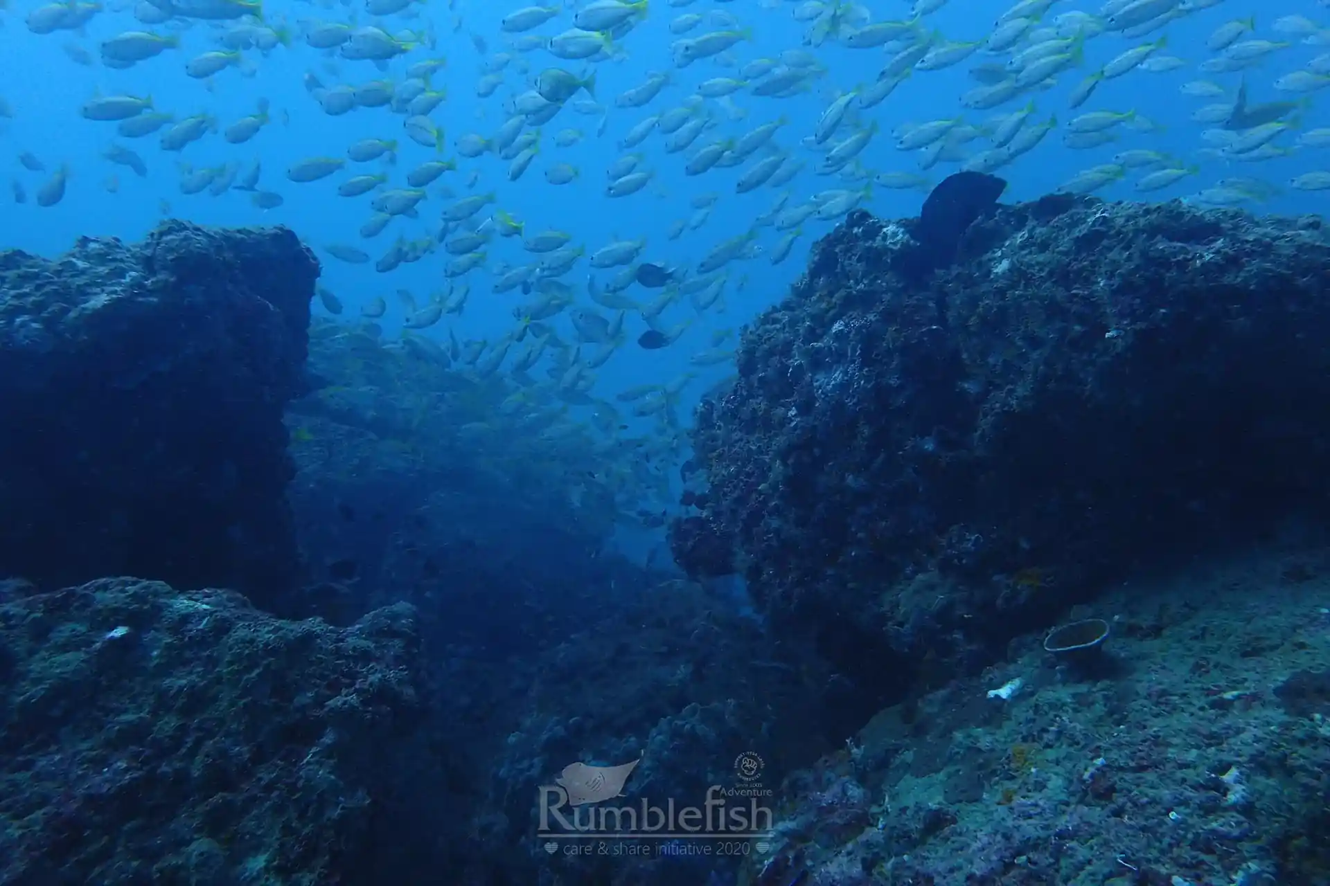 Dive site photo
