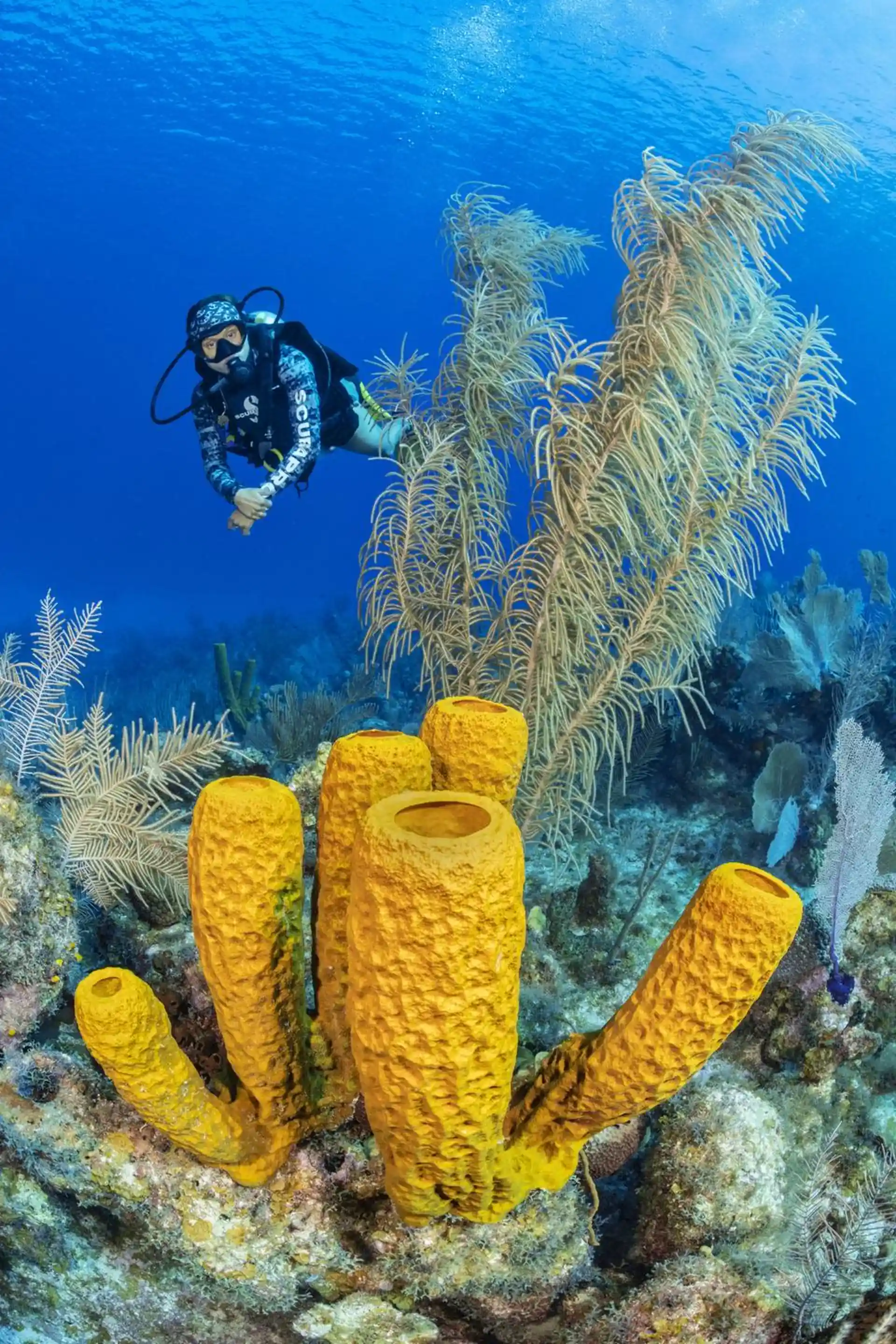 Dive site photo