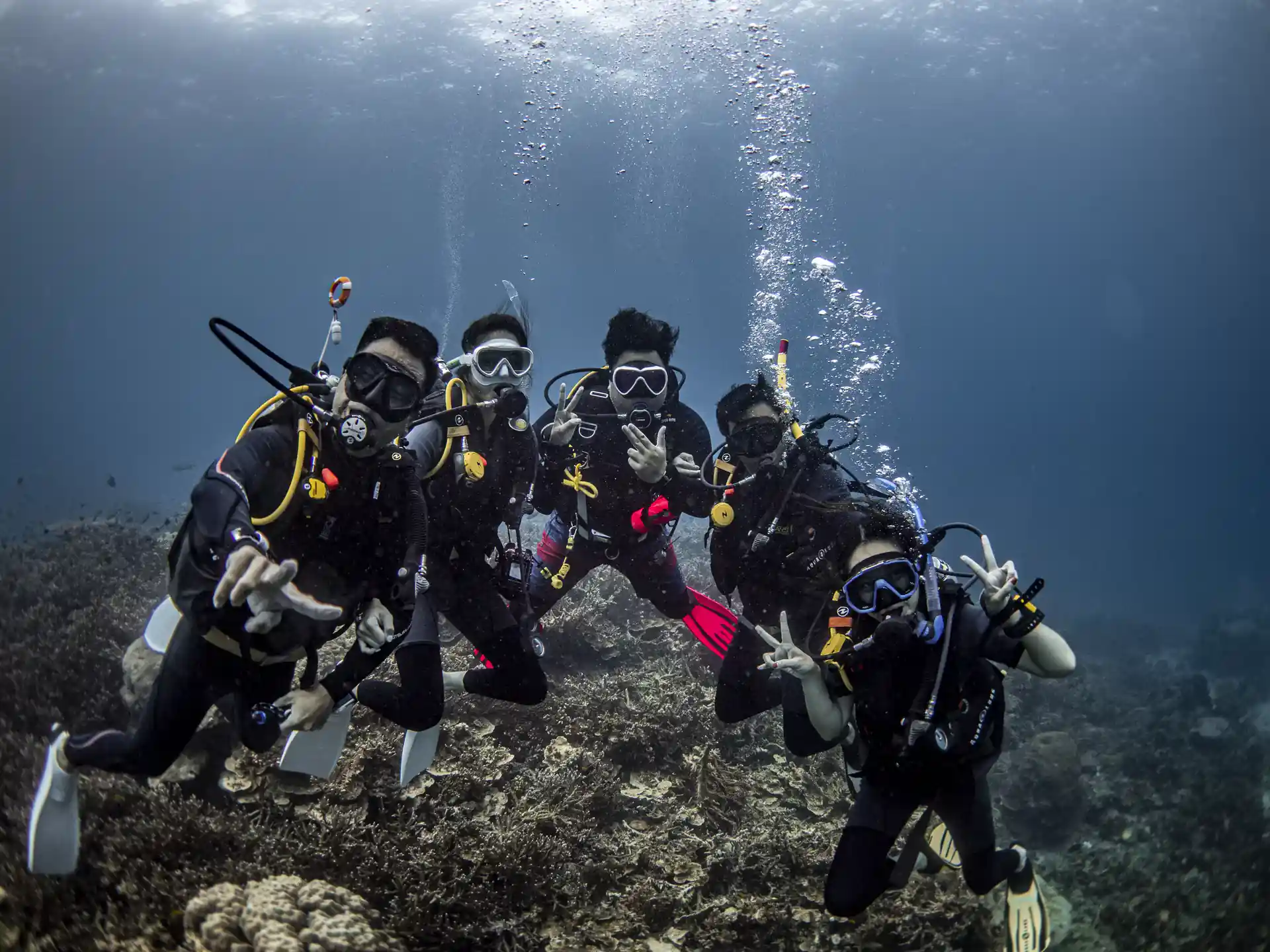 Diving on the reef