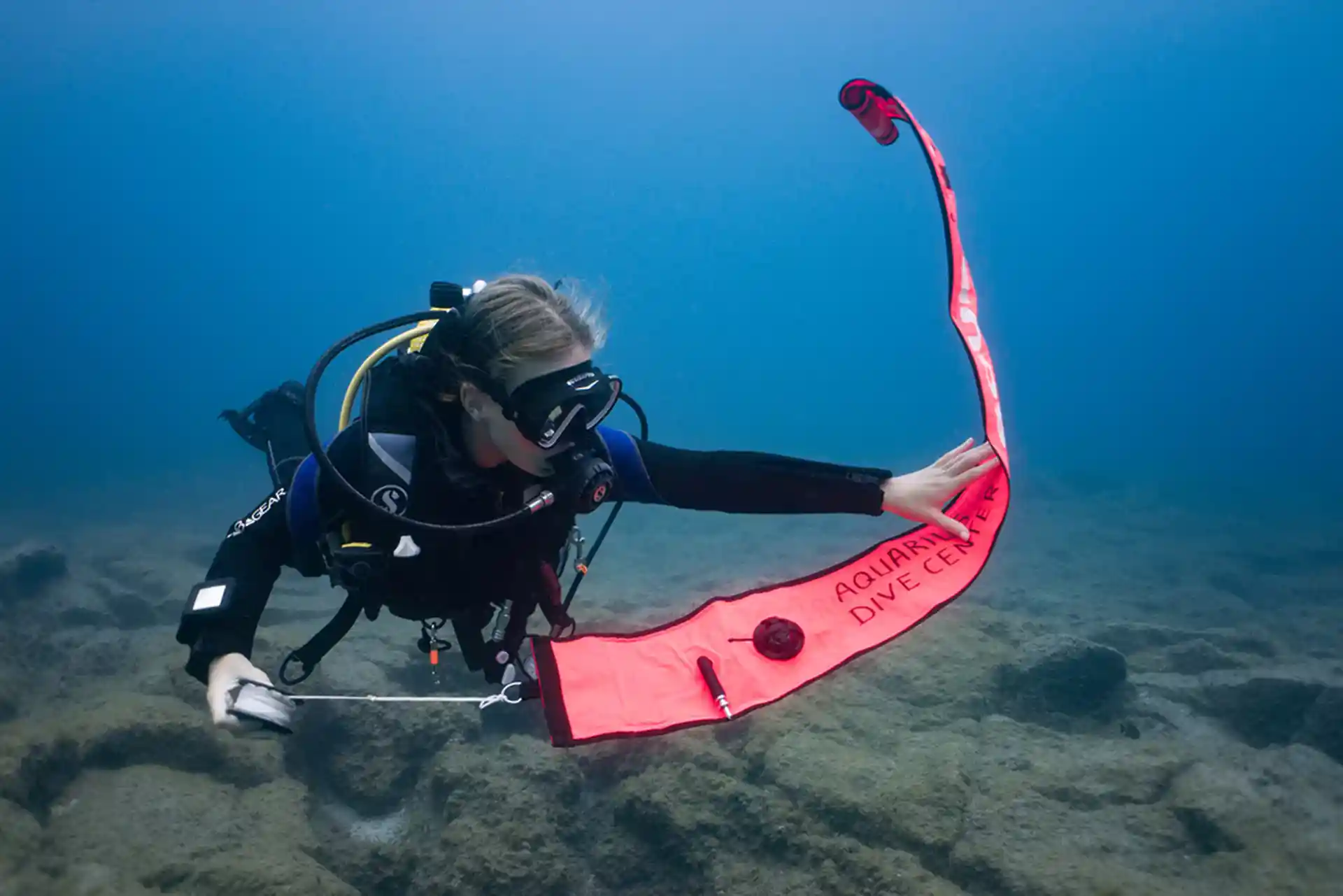 padi divemaster tenerife