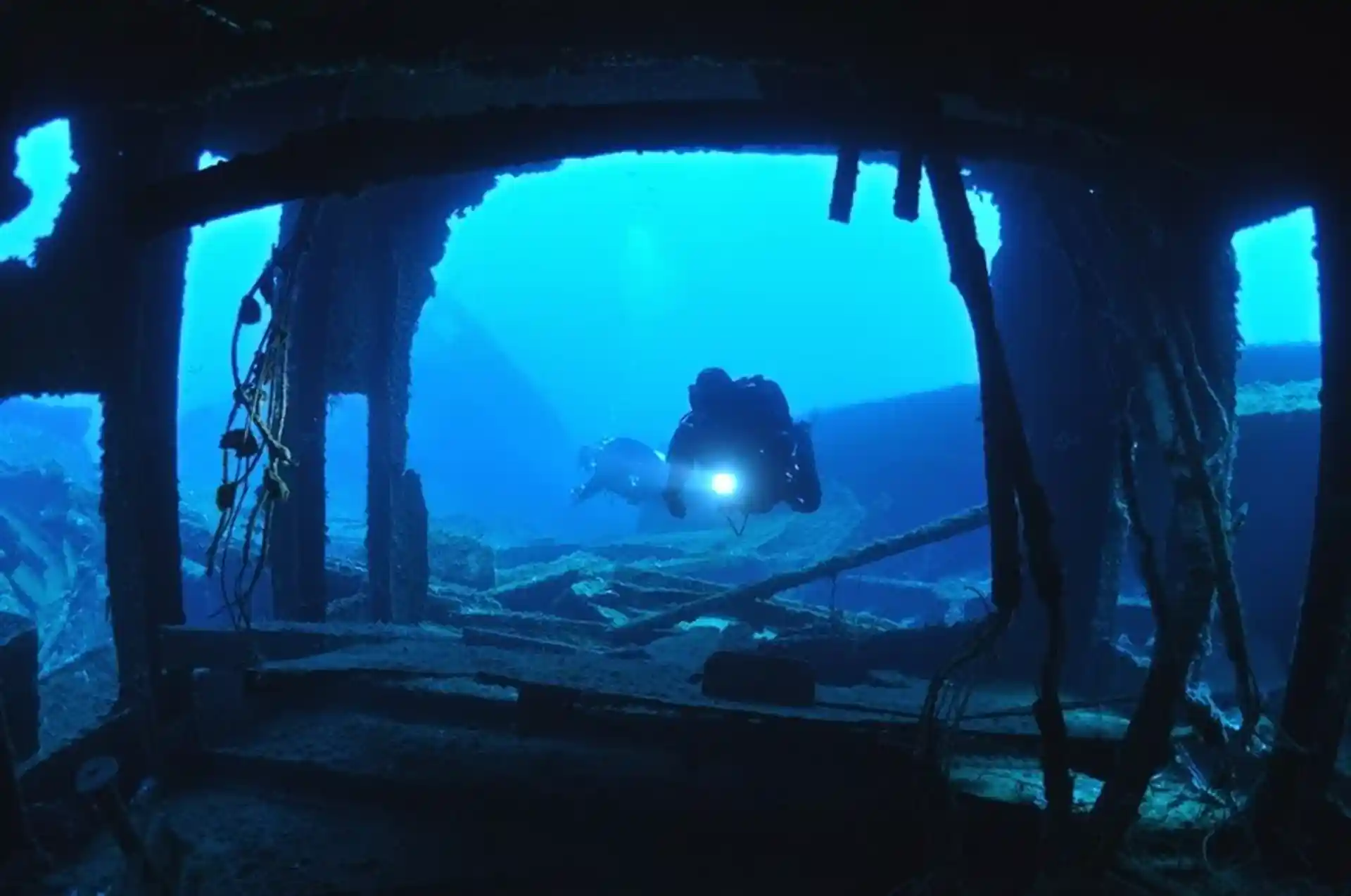 Wreck diving in Portofino