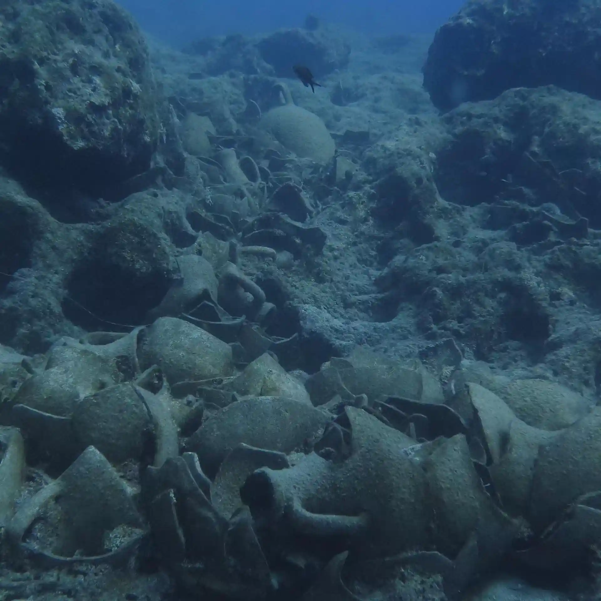 Dive site photo