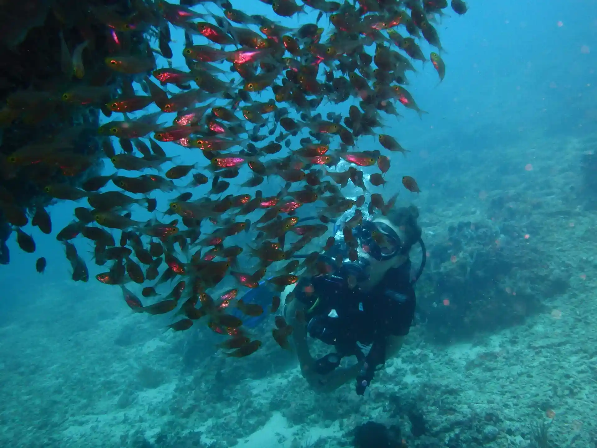 Dive site photo