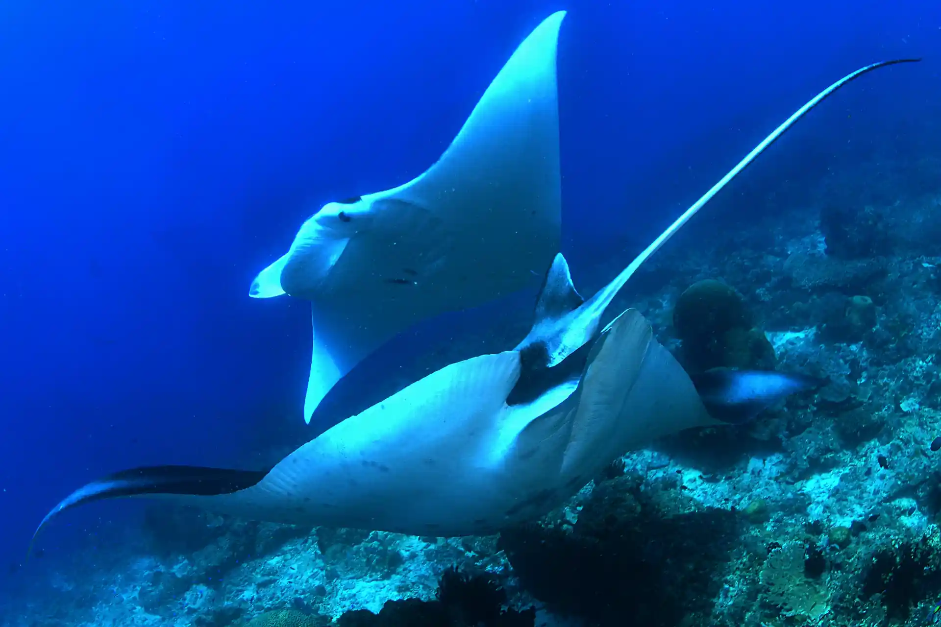 Photo de l'activité