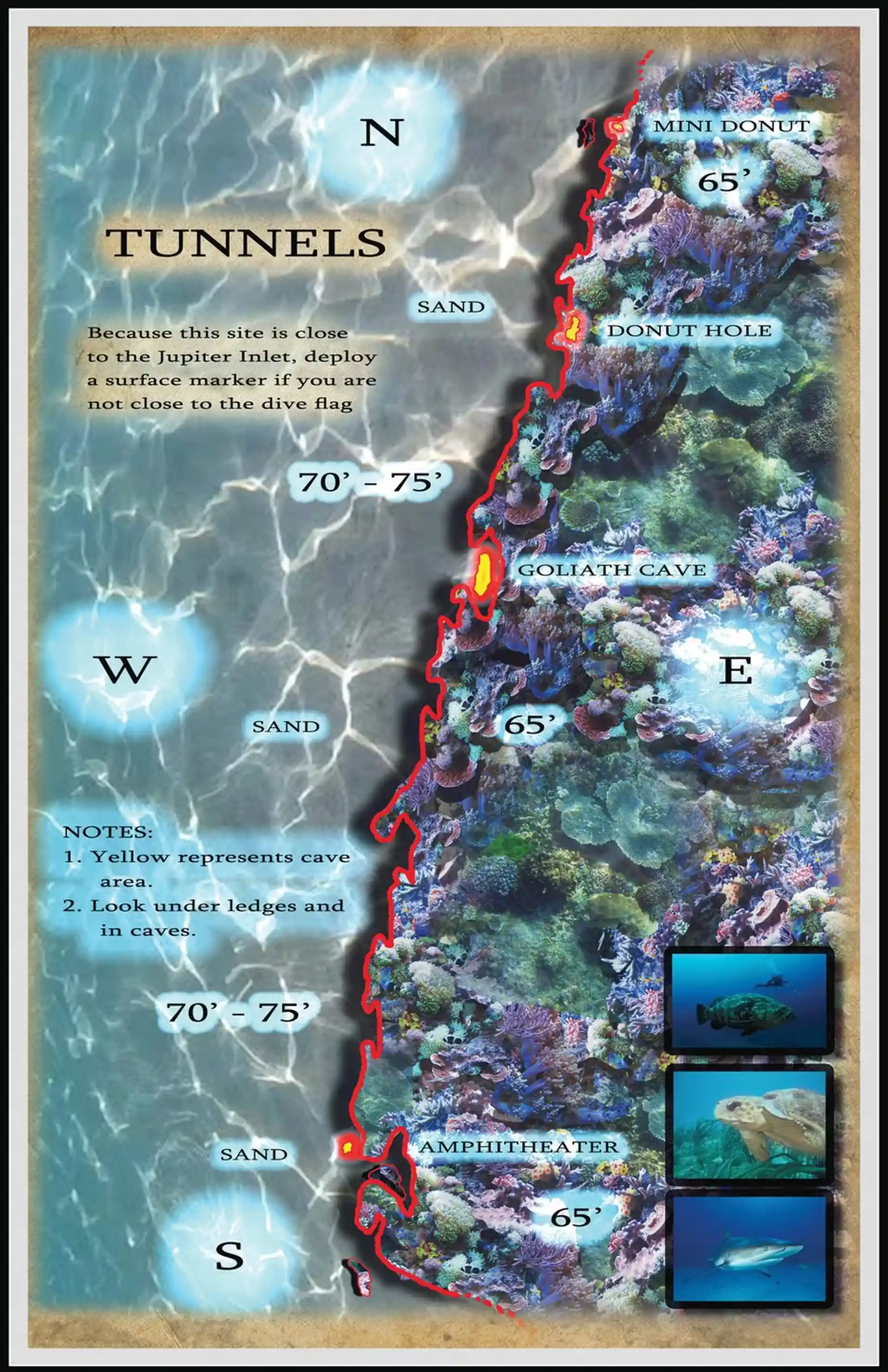 Dive site photo