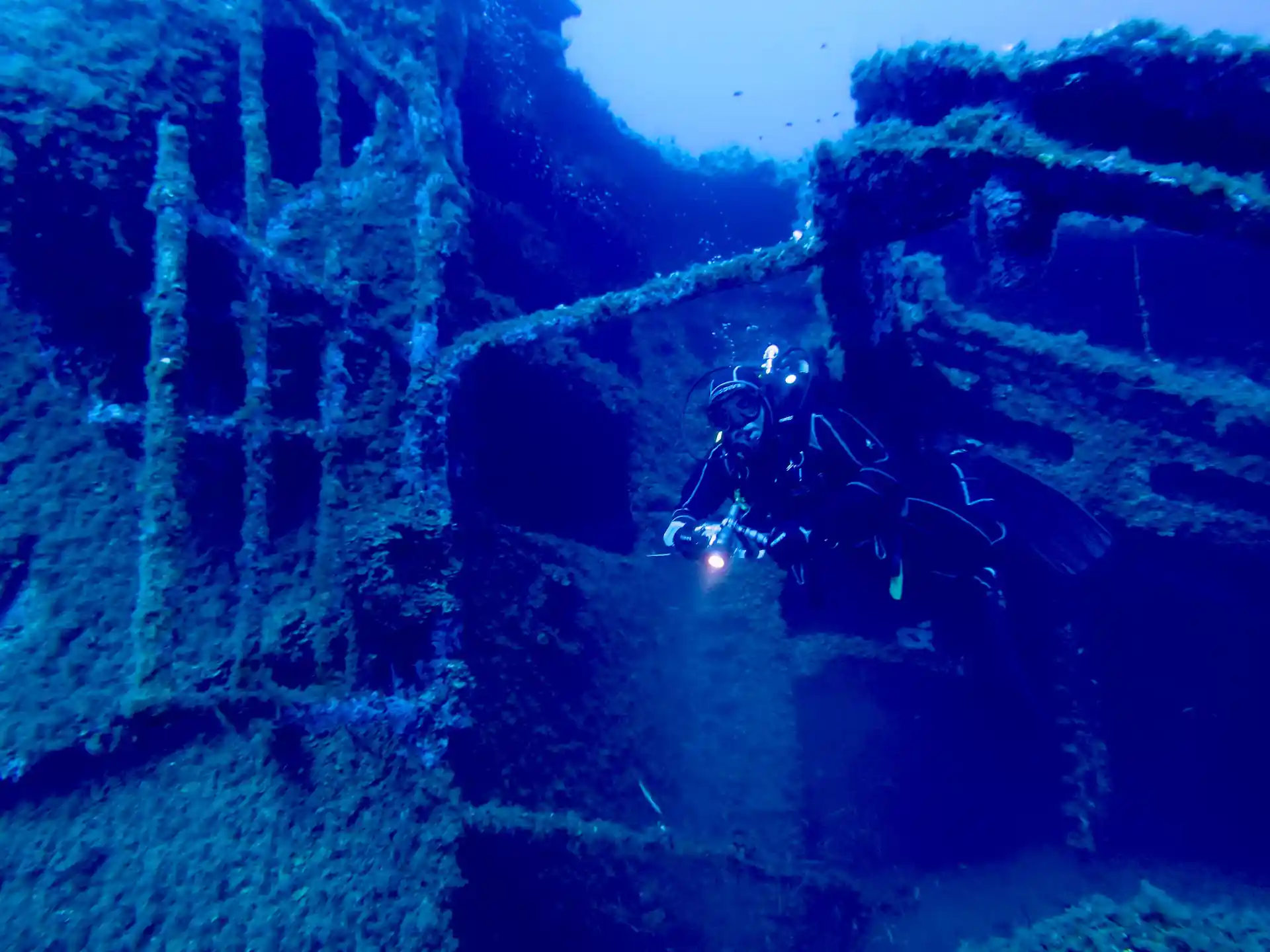 Dive on the Nasello Wreck